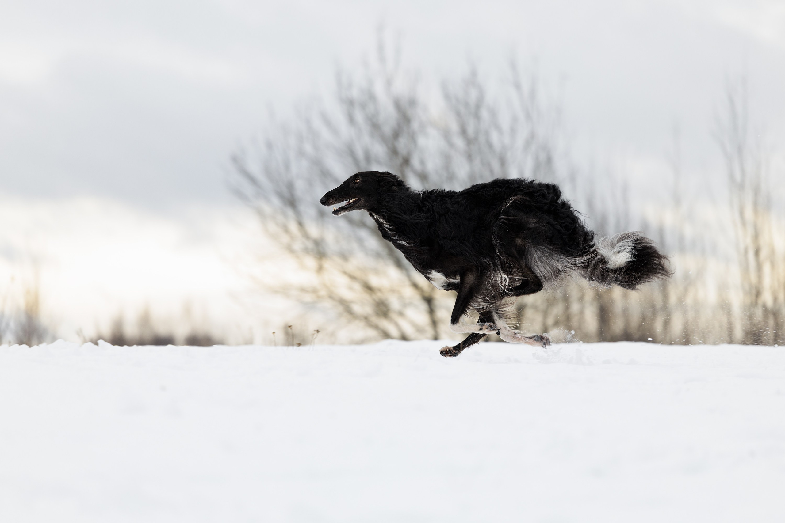 Катя и Гримм. Мои работы