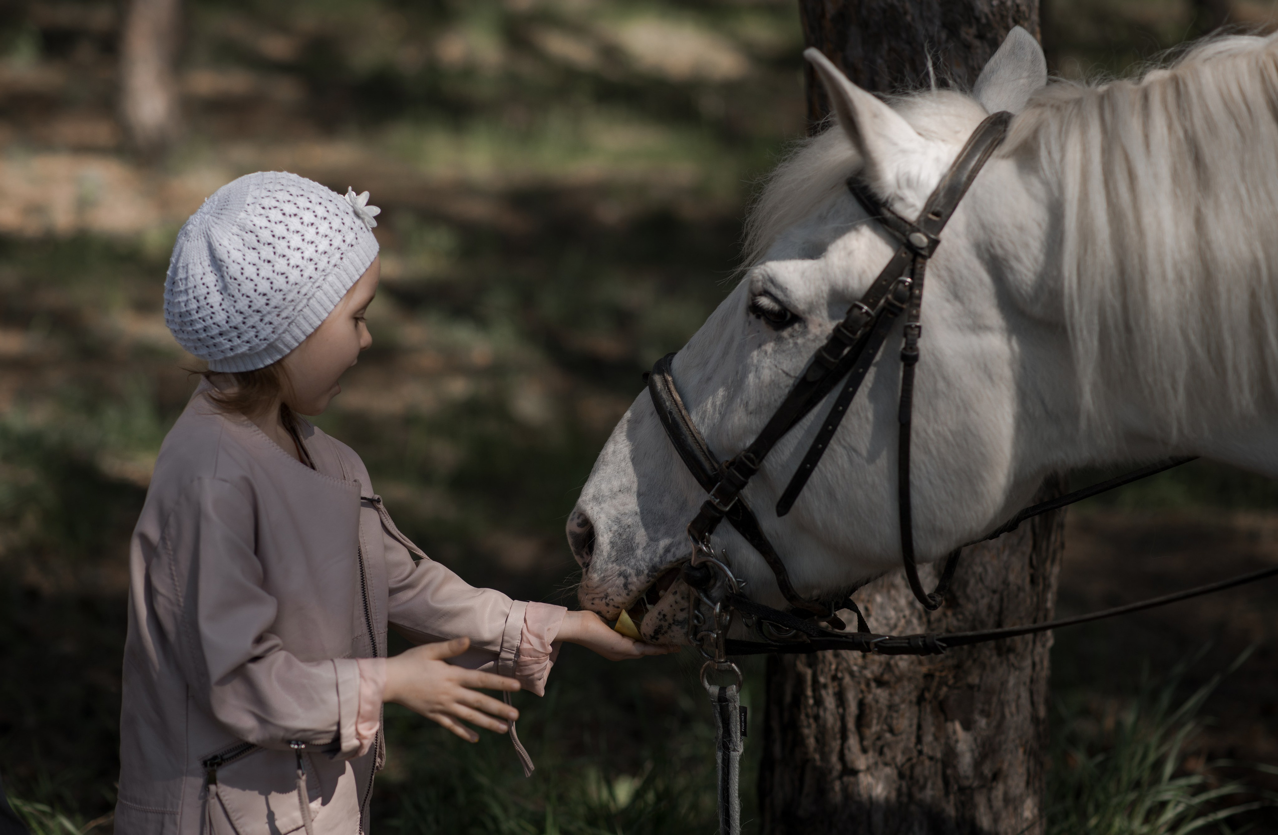 Дети и лошади. Конный фотограф в Саратове Юлия Иванова
