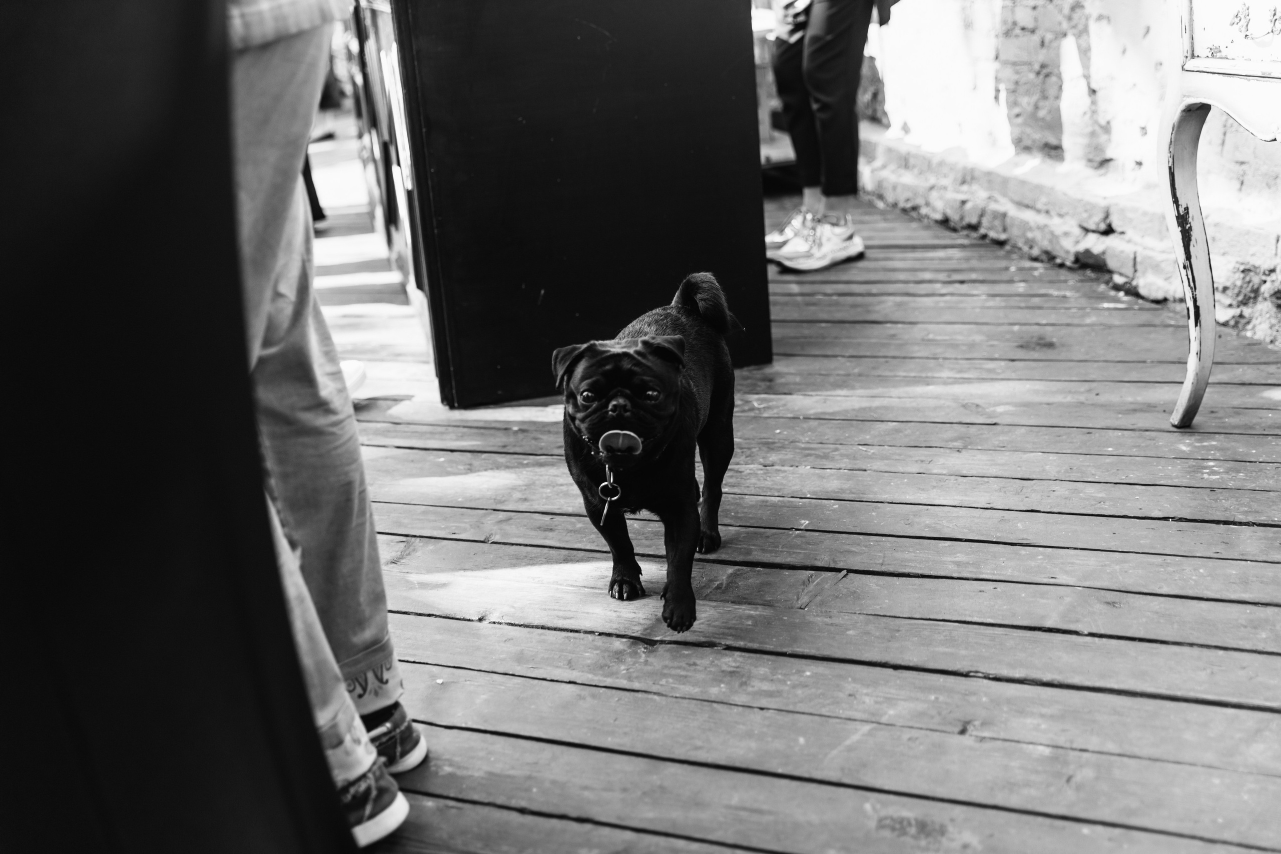 Vera & Dima. Главная