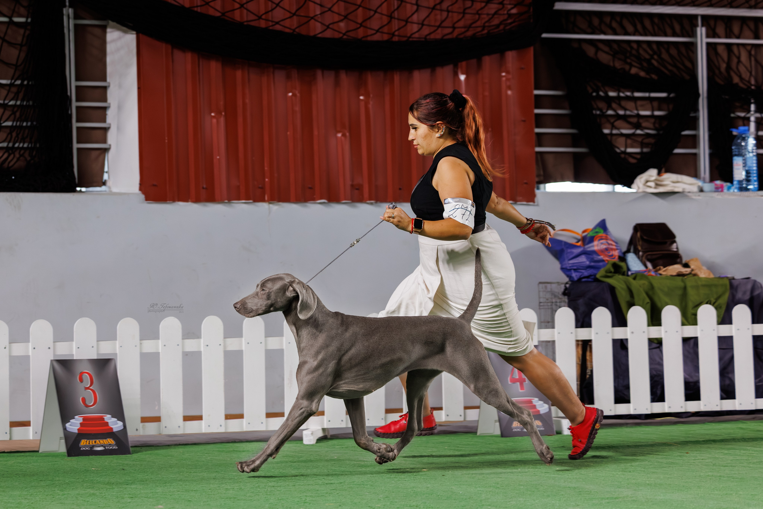 Телави 11-12.10.2025. Фотограф-анималист Юлия Германика