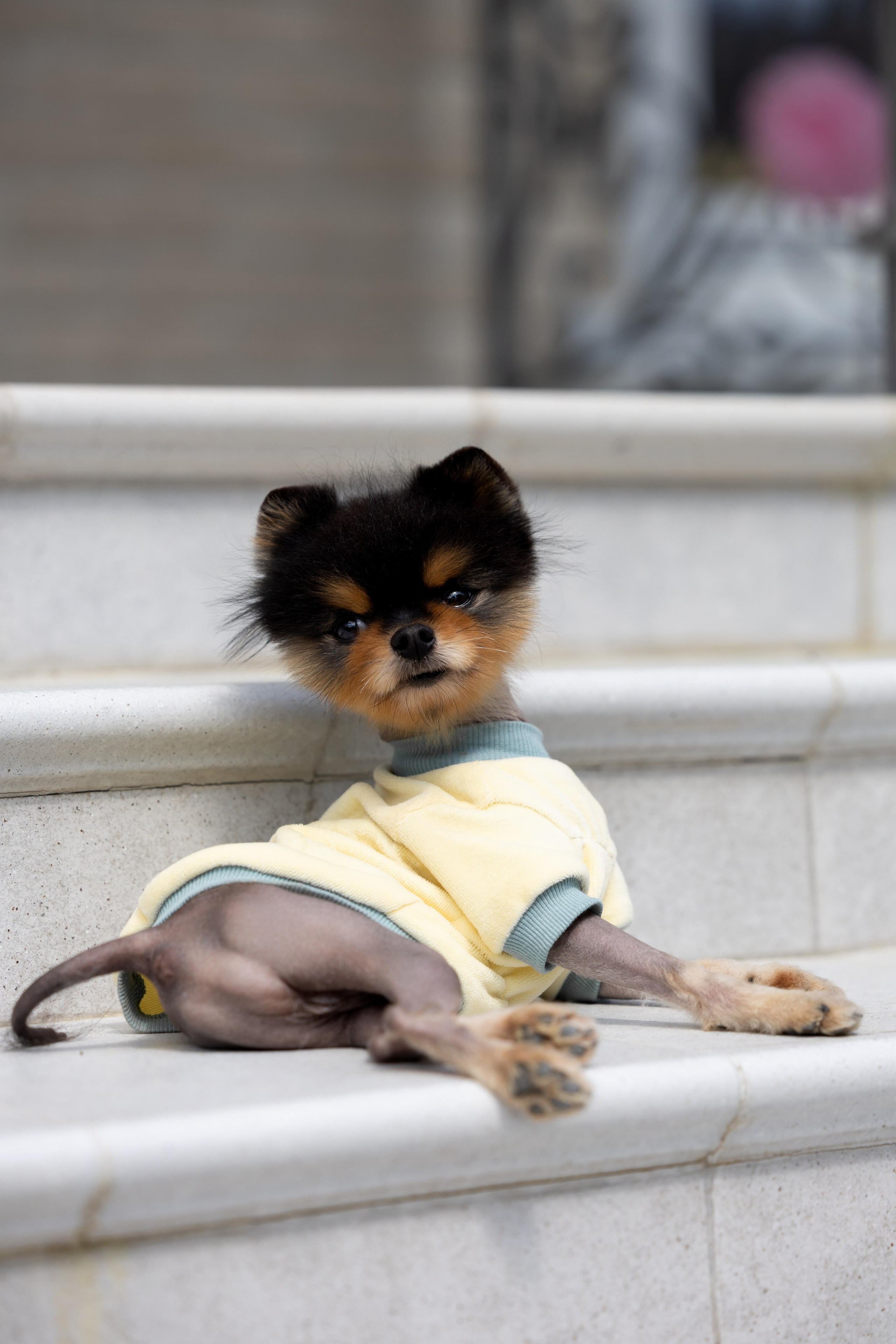 Bubble party. Обо мне