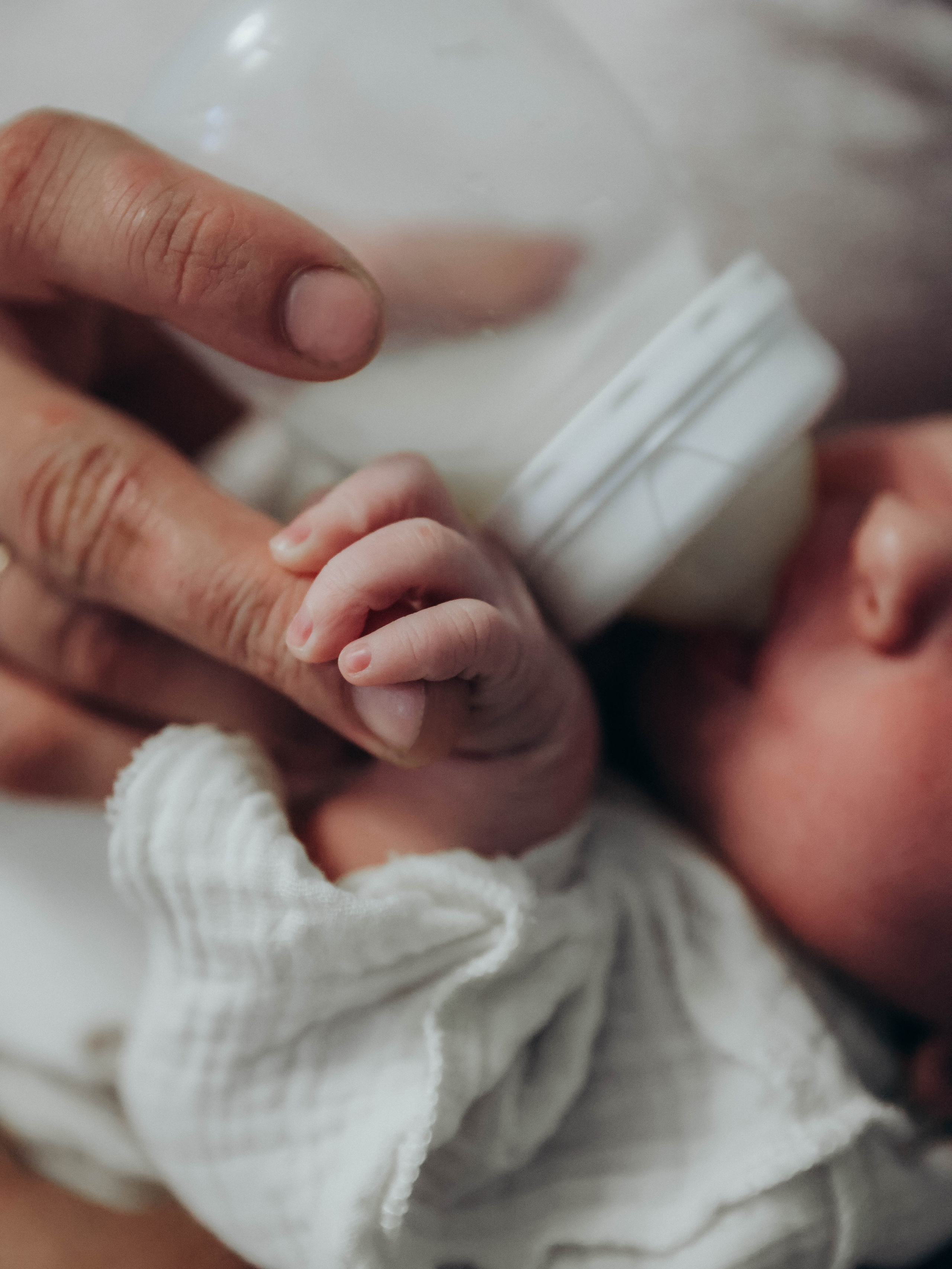 Любовь и котики. Мультифотограф Динара Ахмедзянова