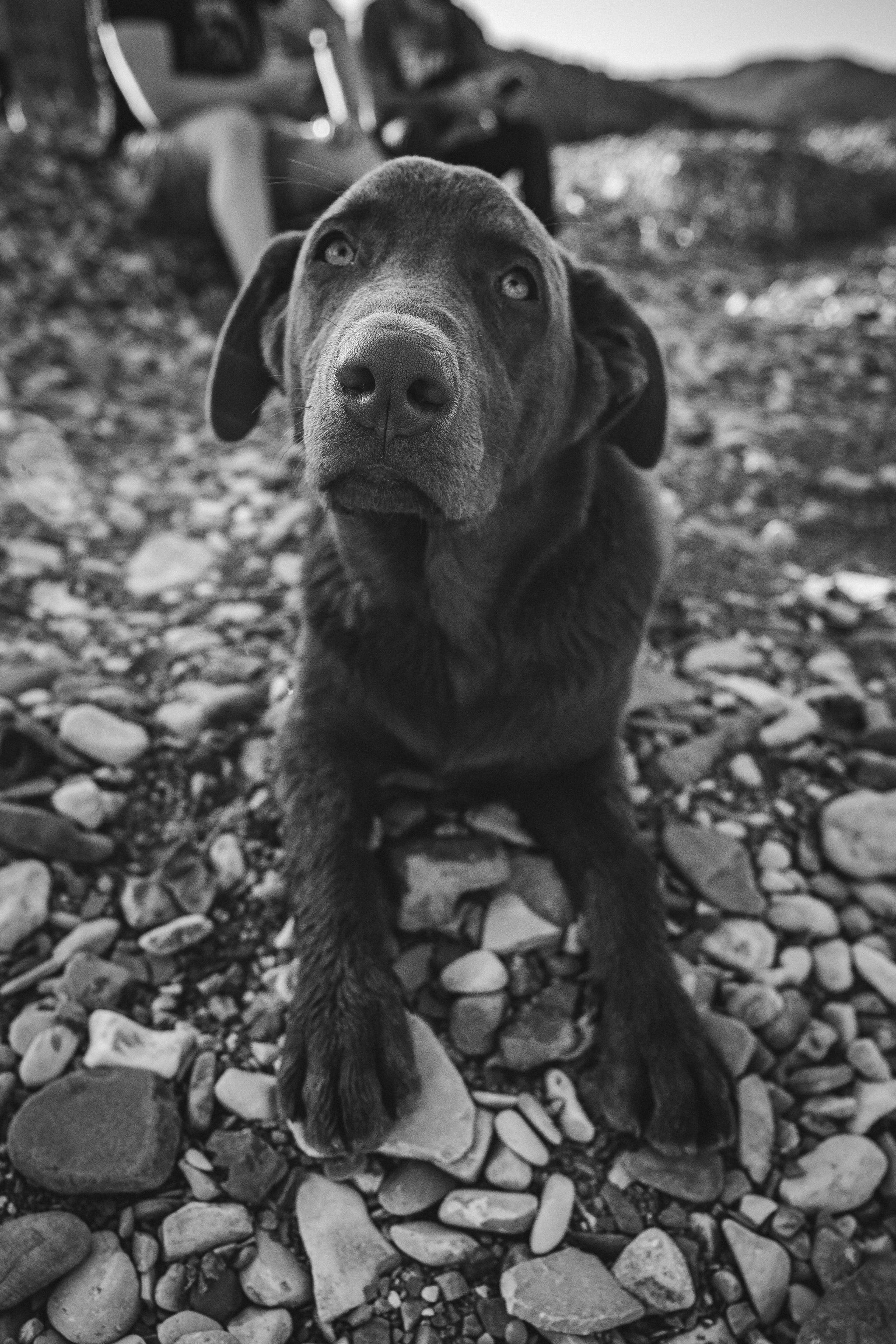 Поход на Полковничьи водопады АСК 26.09.23. Репортажный фотограф в Краснодаре Рындин Дмитрий