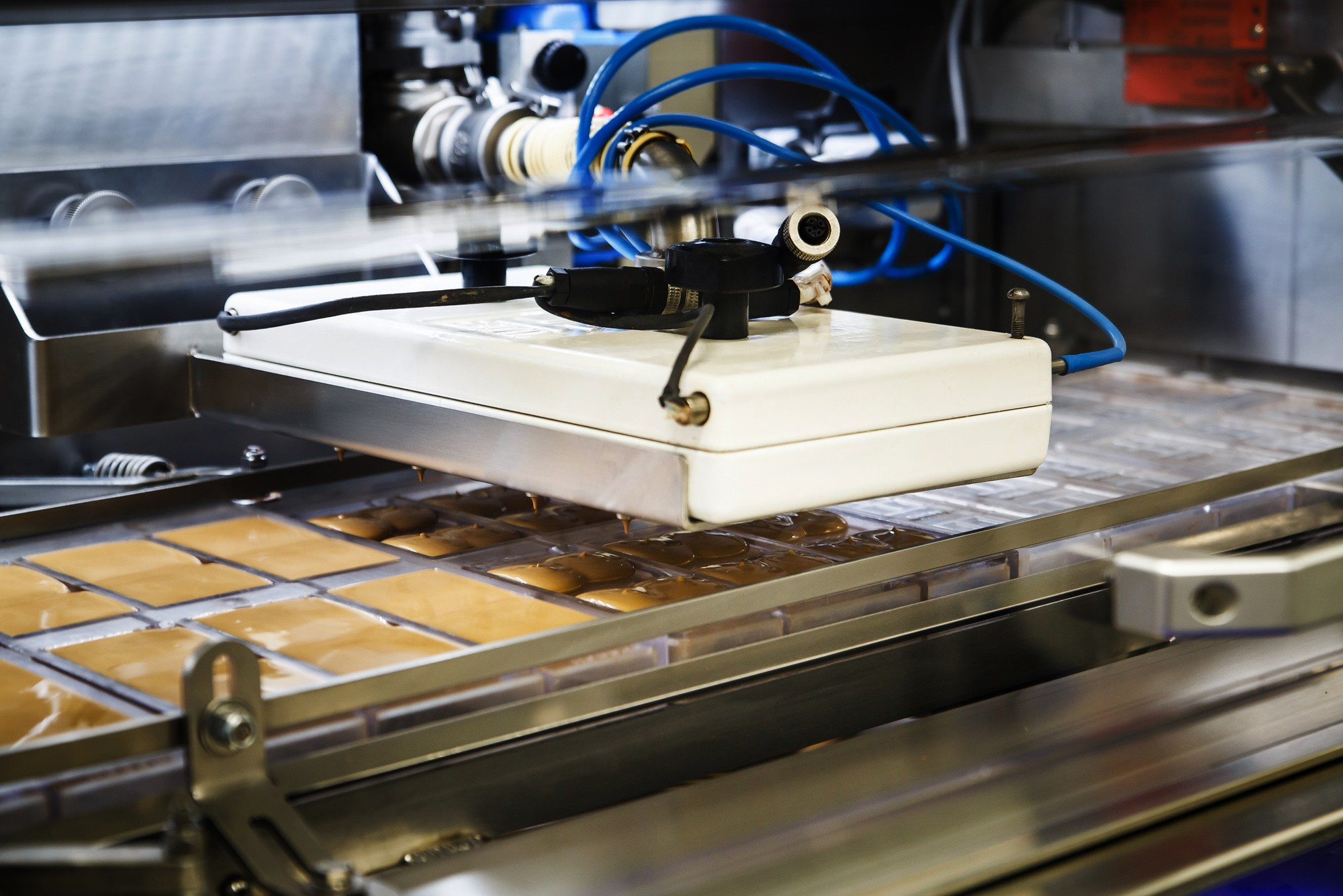 Mojo cacao. Фотограф Ксения Колесникова. Интерьерная и портретная съемка в Москве