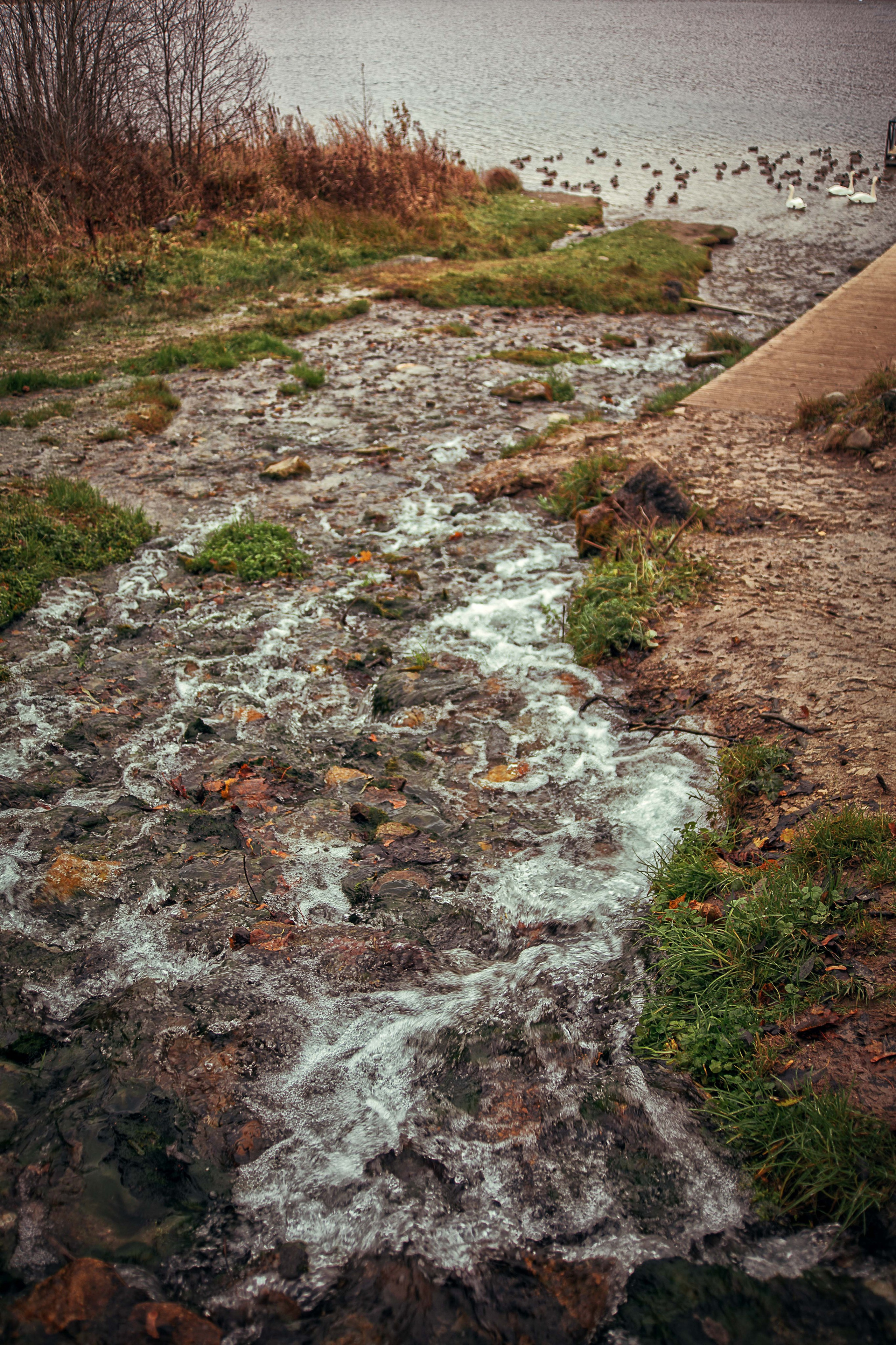 Изборск. Семейный и детский фотограф в Москве Ольга Кривенцова