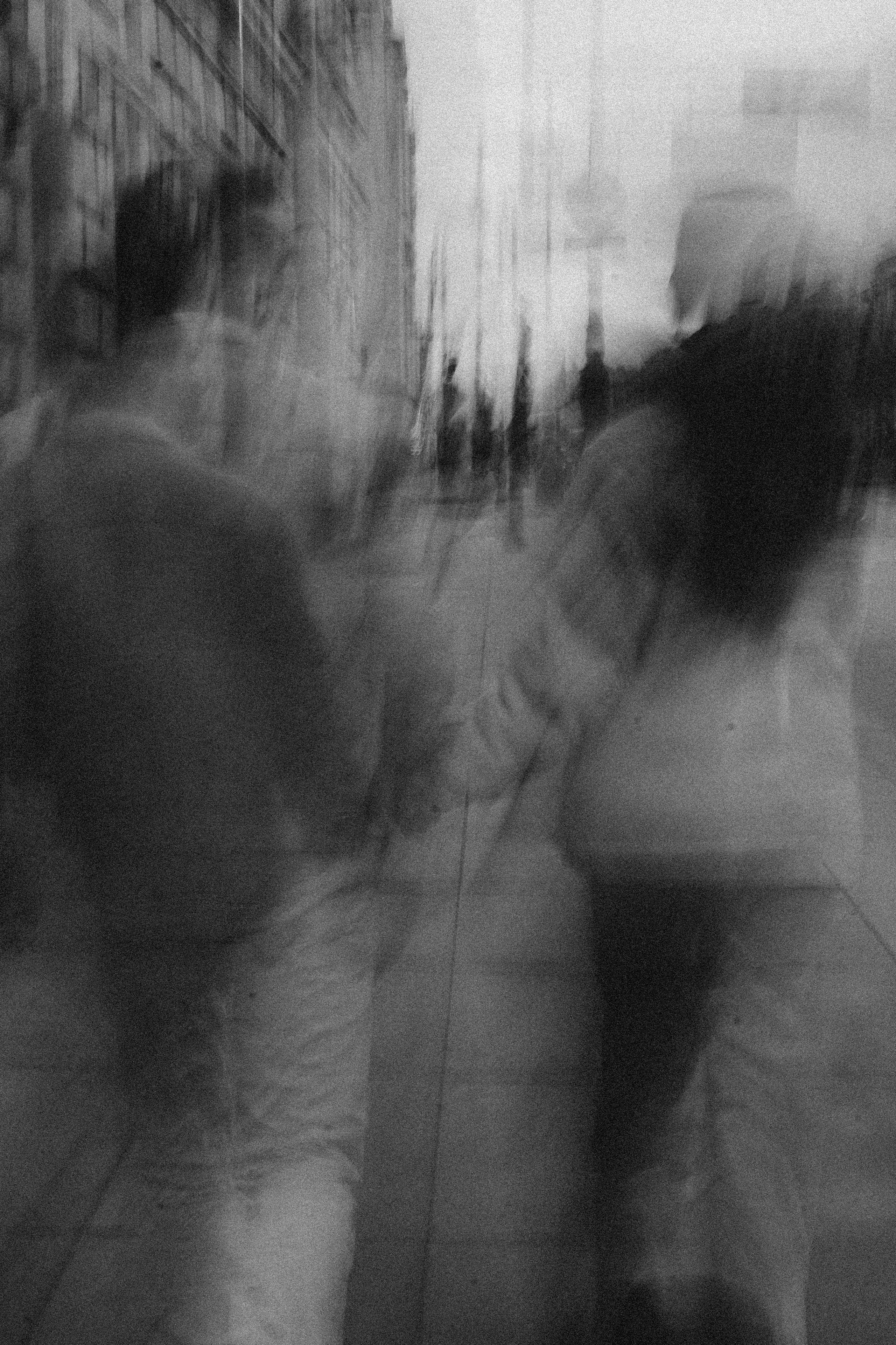 Прогулочная. Профессиональный фотограф, Санкт-Петербург — Виктория Богомолова