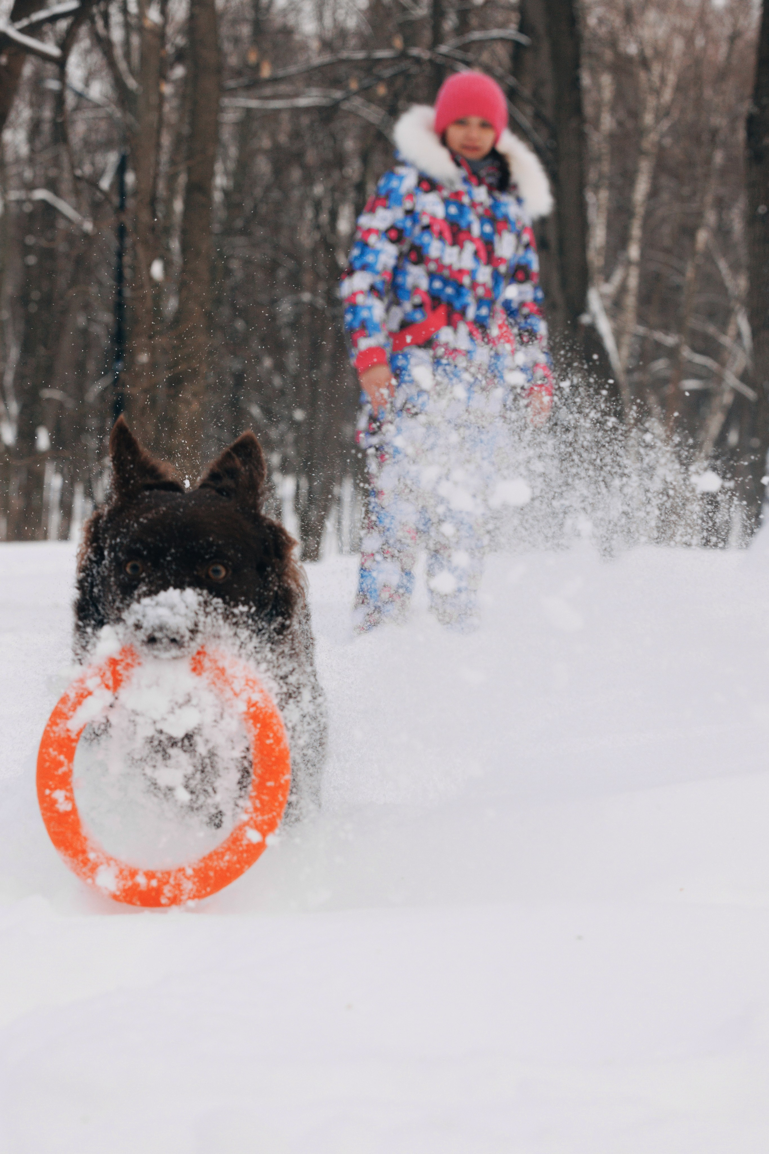 Соня и Персей в Нескучном саду. Фотограф анималист Кристина Карпова, Москва