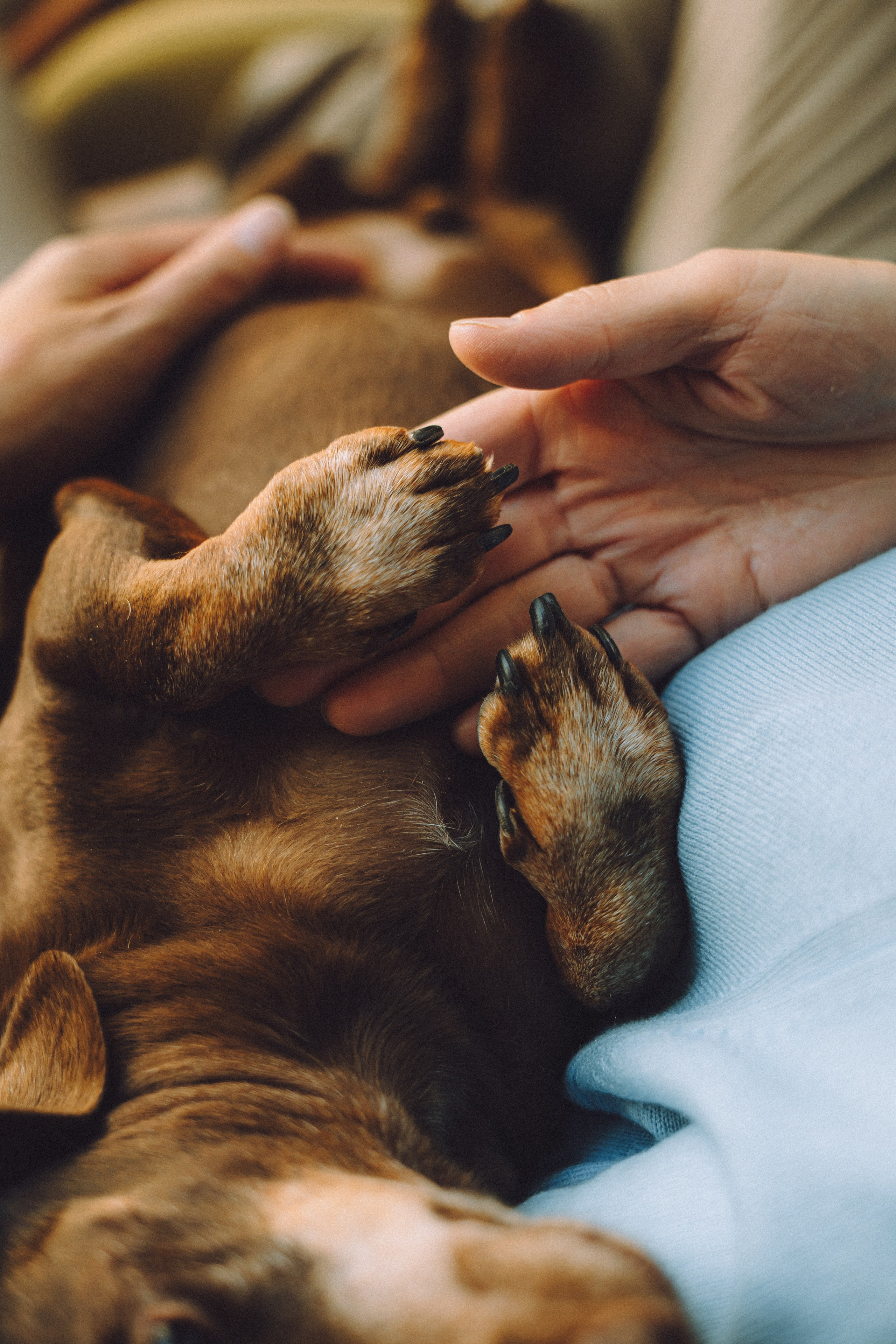 Кокос, Света, Динара и Вилли