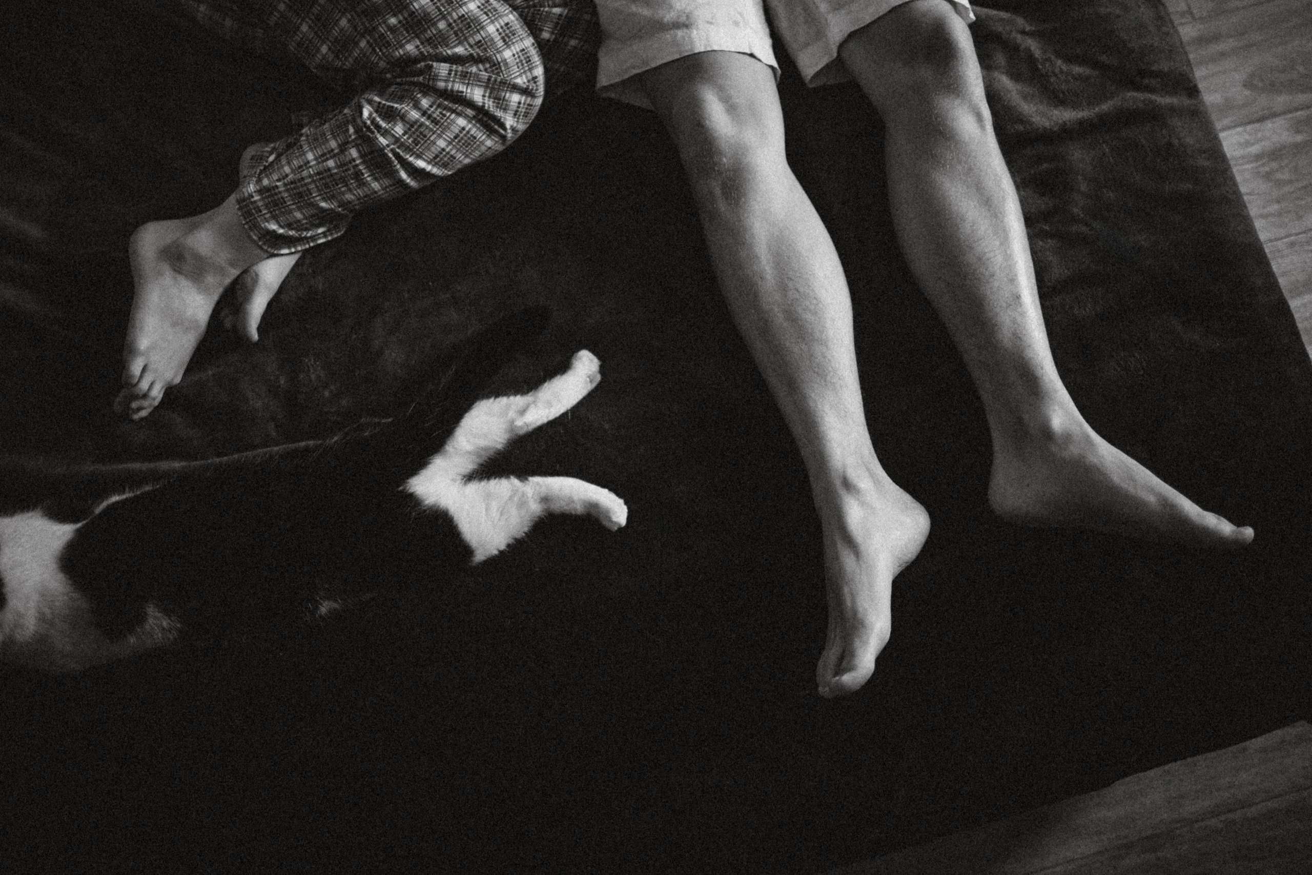 Рыся, Кепа и их семья