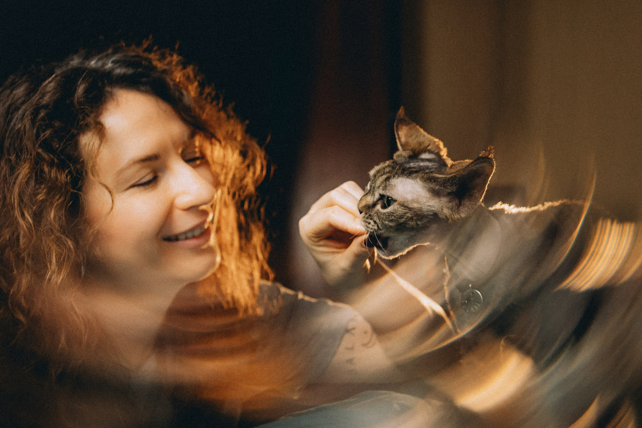 Гречка, Ковш и их семья