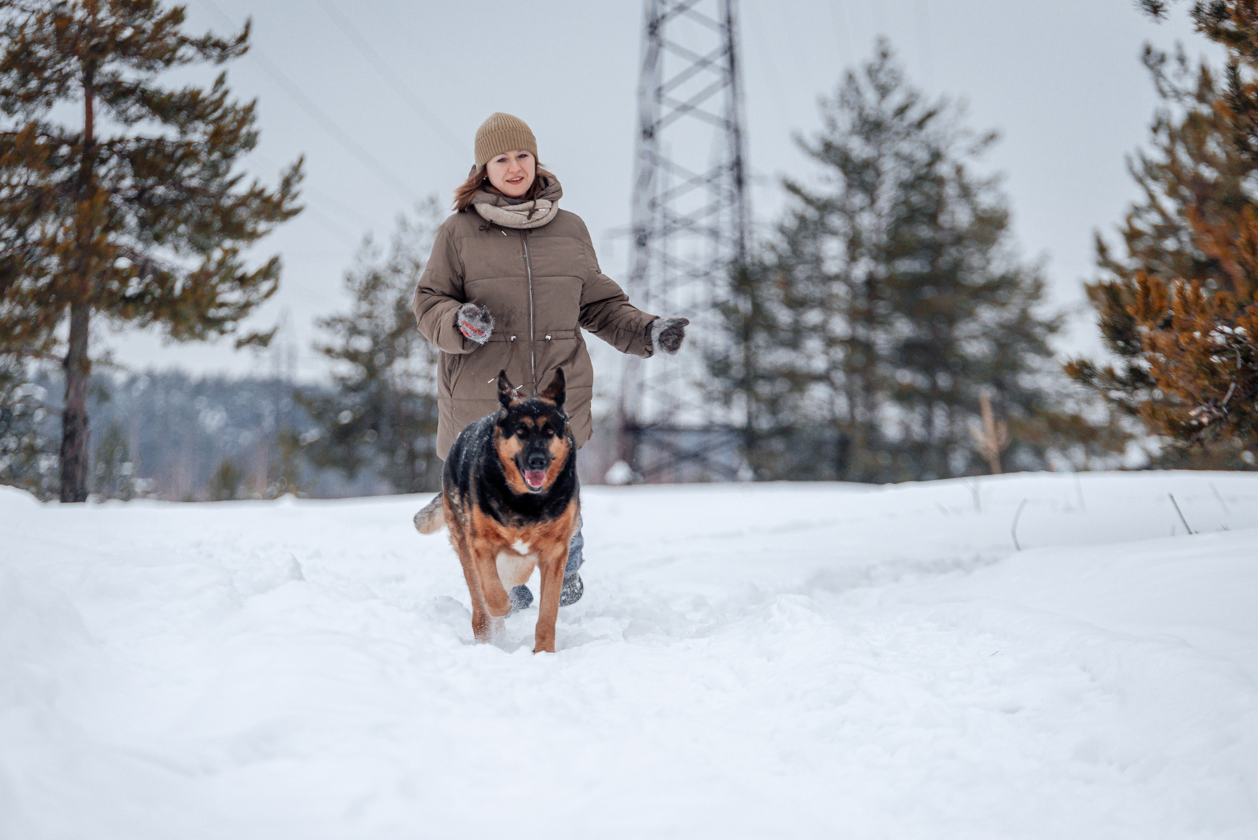 Светлана, Альфа и кошки ✨. Фотограф-анималист Анастасия Парфенова|Екатеринбург
