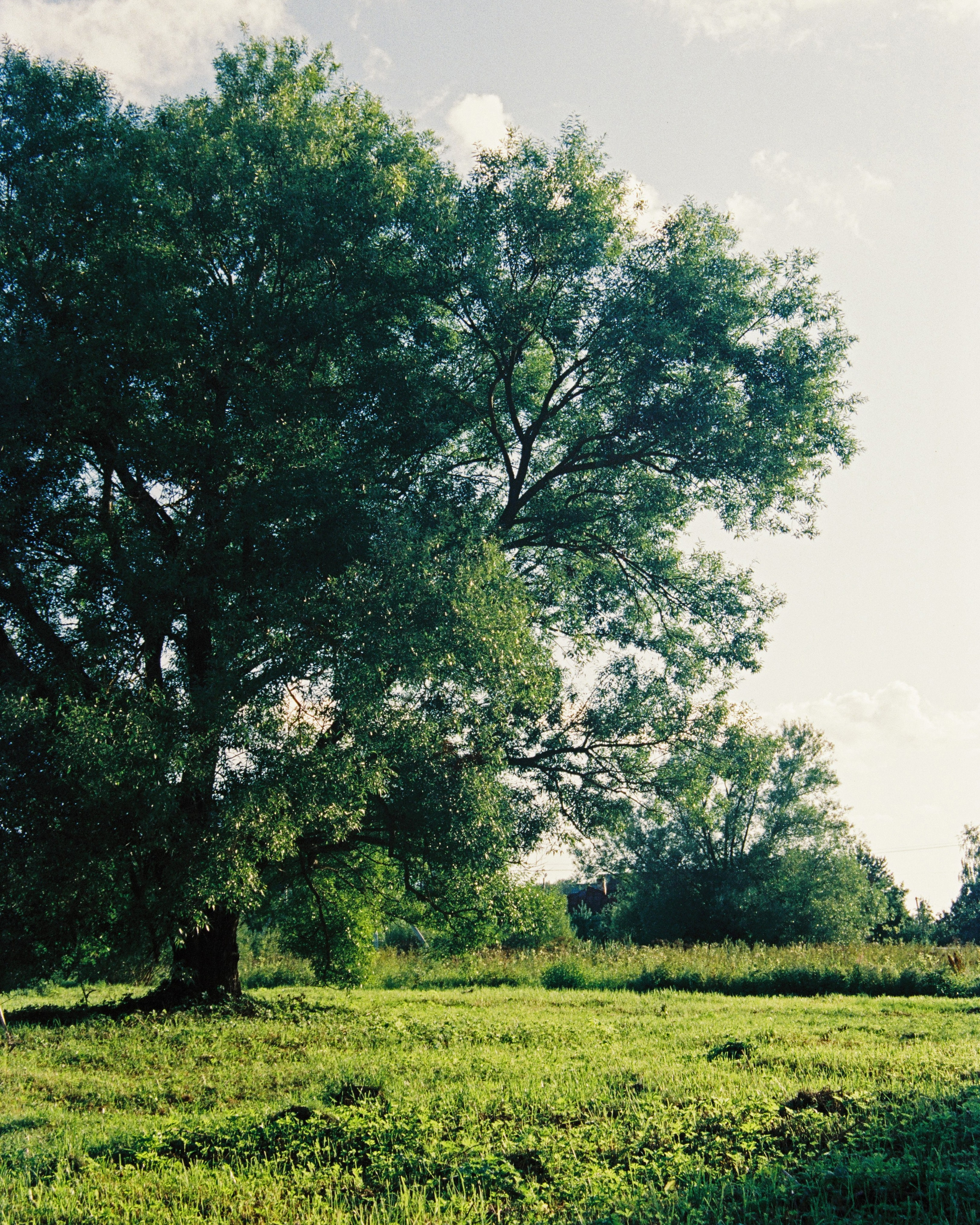 PODMOKLOVO. ANNA — PHOTOGRAPHER