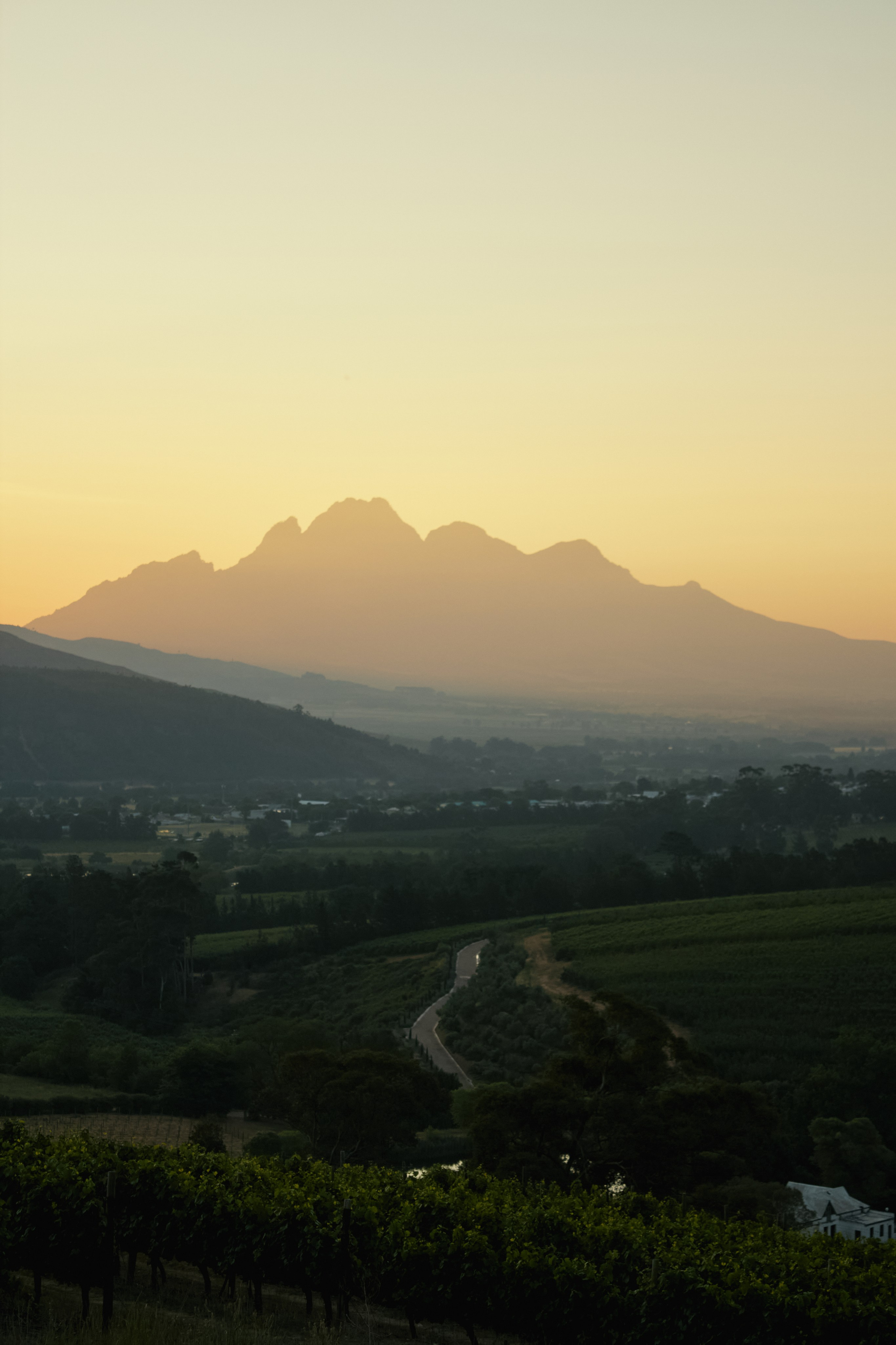 ЮАР. Профессиональный Фотограф во Владимире, в Москве и в Суздале — Полина Романычева