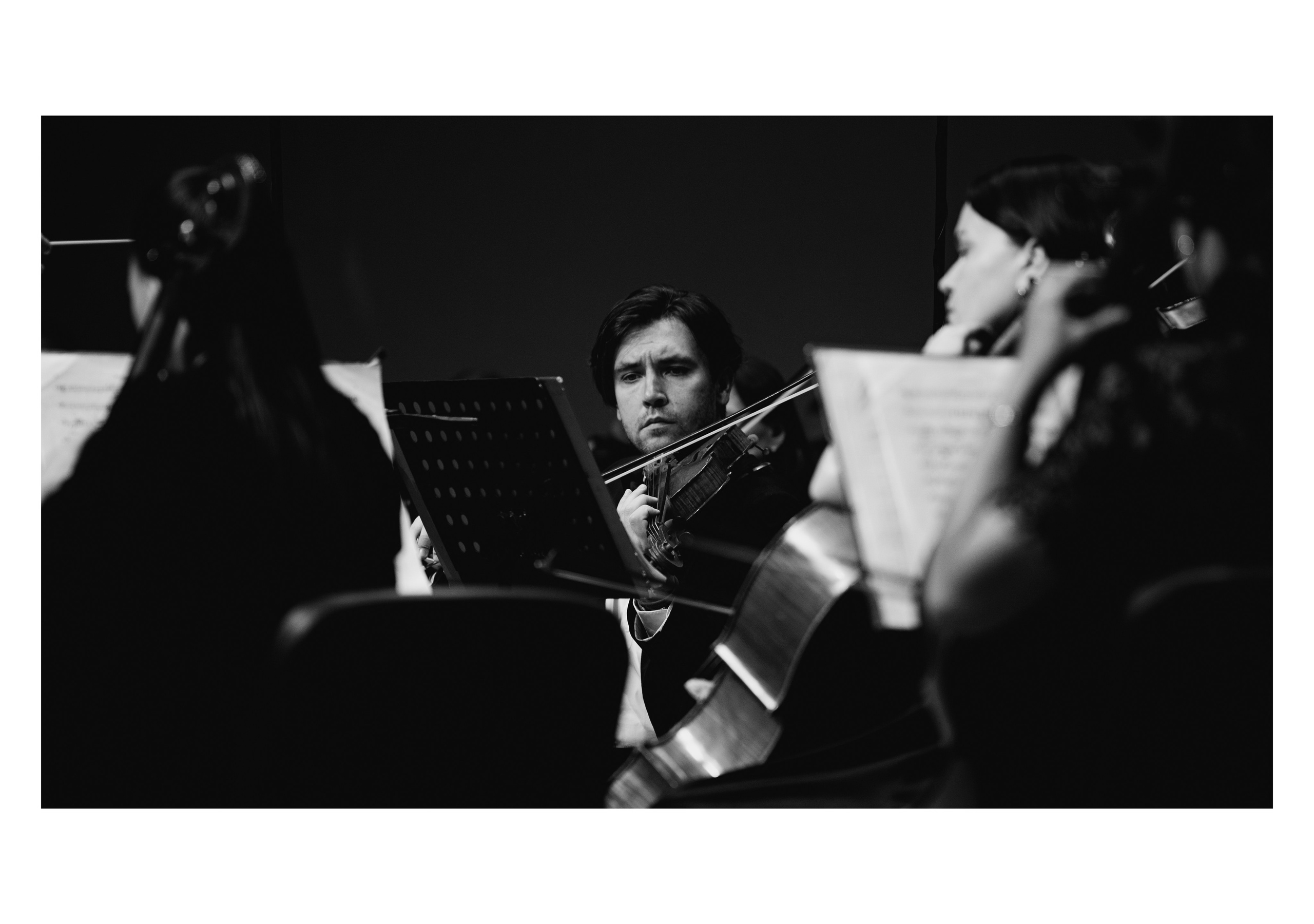 Симфонический оркестр. Творческий и репортажный фотограф в Москве Клим Долгов