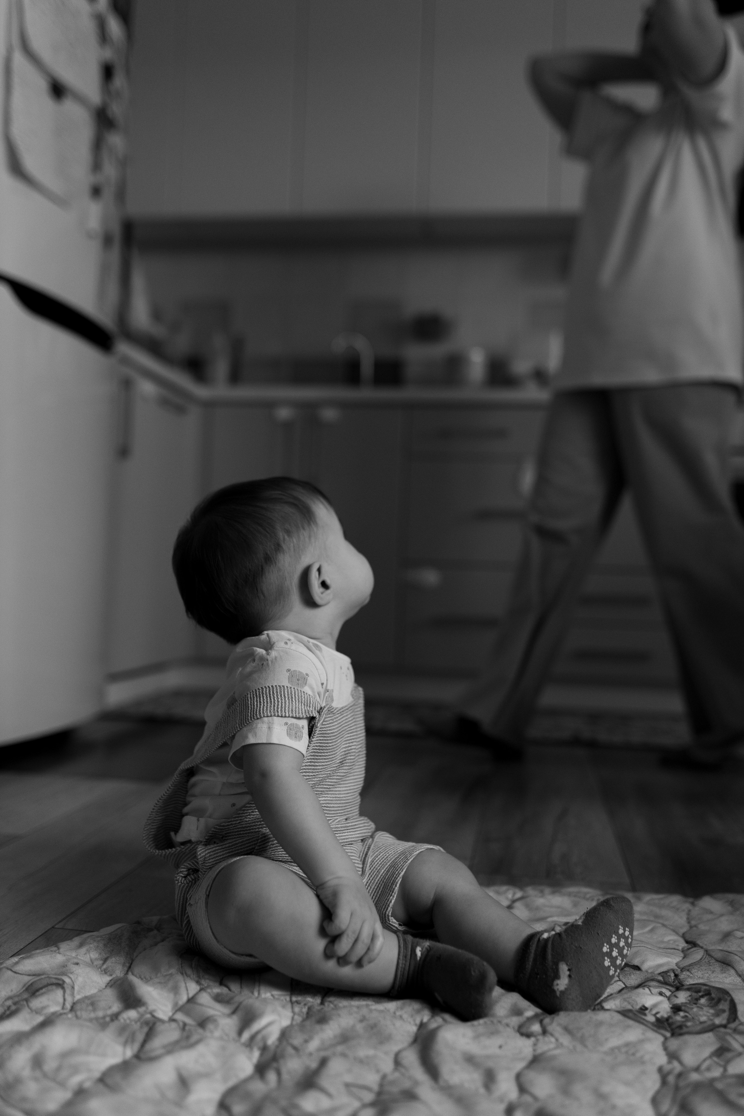 Домашняя история. Meryfotoidea