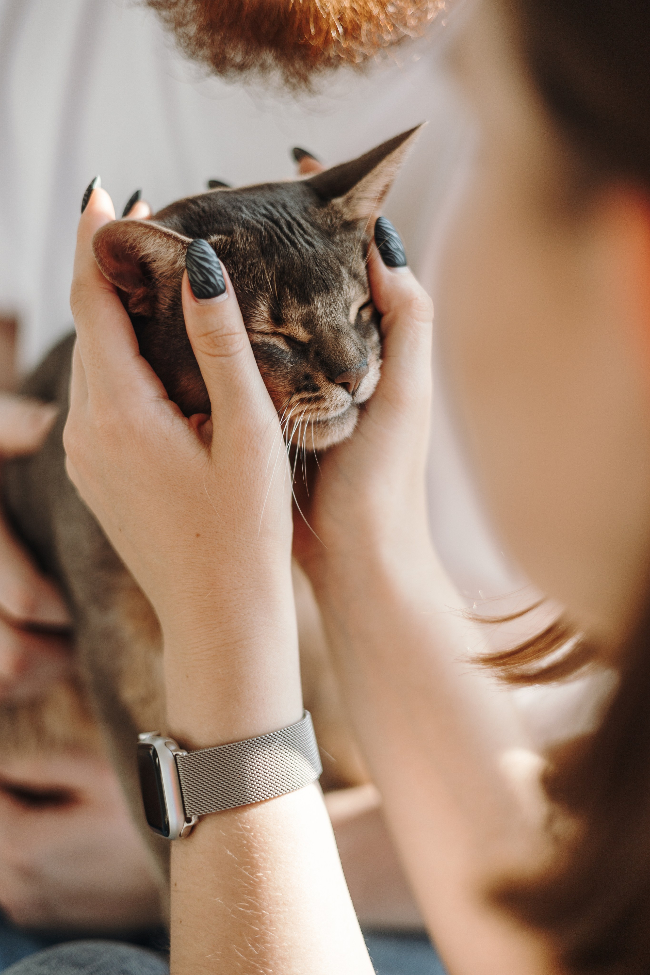 Циско и его семья. Фотограф — Анималист | Санкт-Петербург