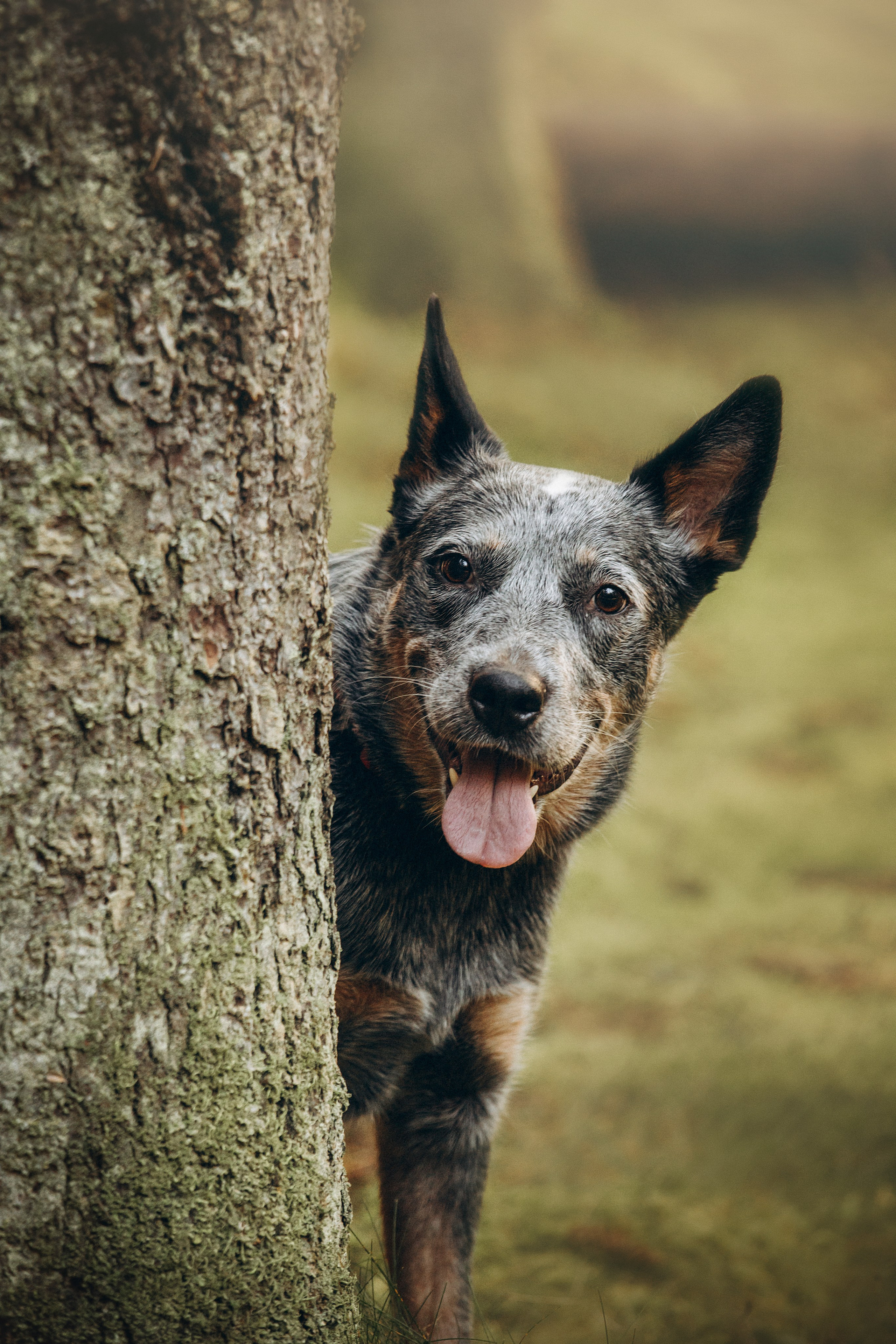 Оля и Мотечка. Фотограф — Анималист | Санкт-Петербург