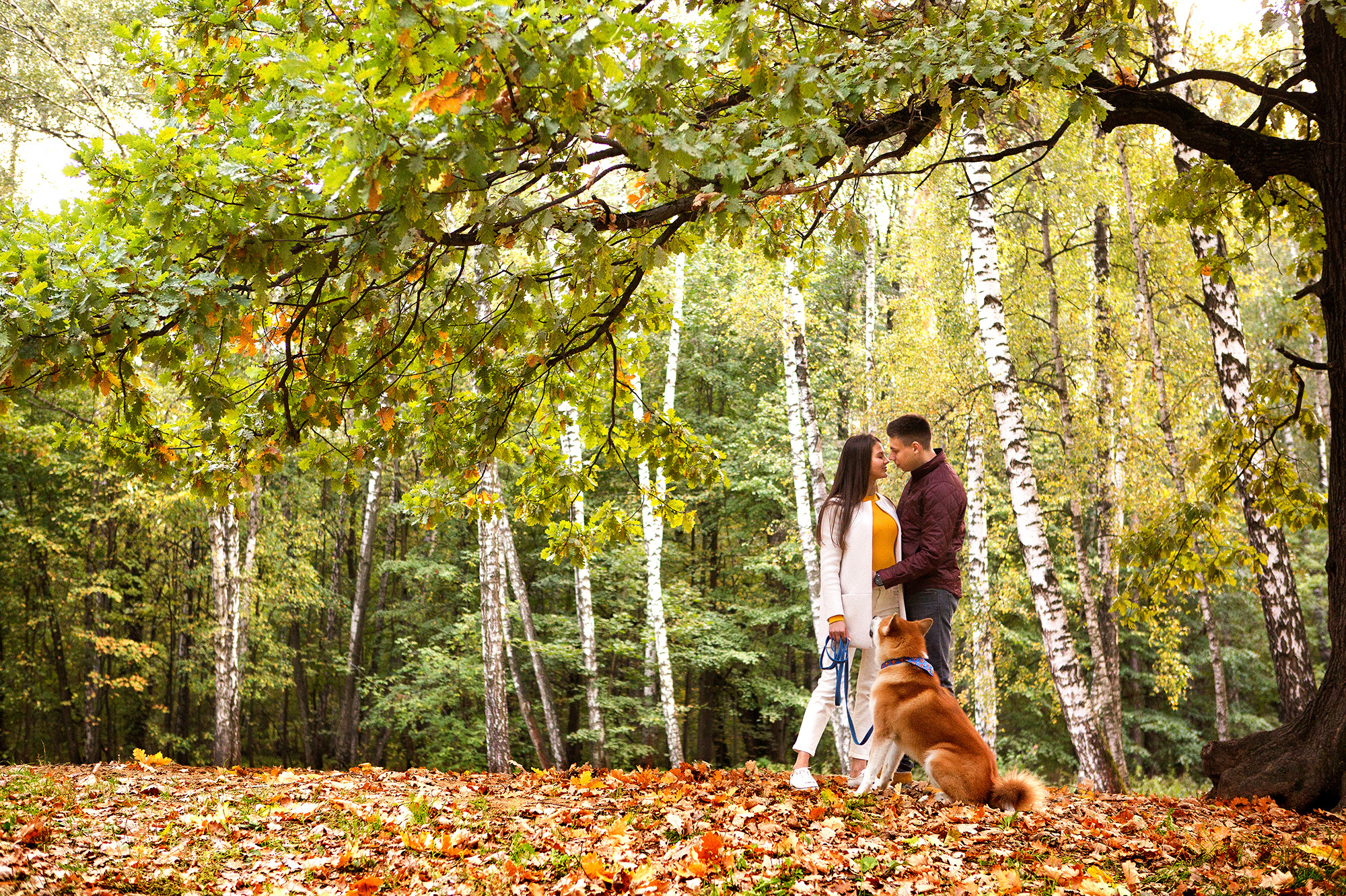 Love Story. Photographer  Valeriy Velikov