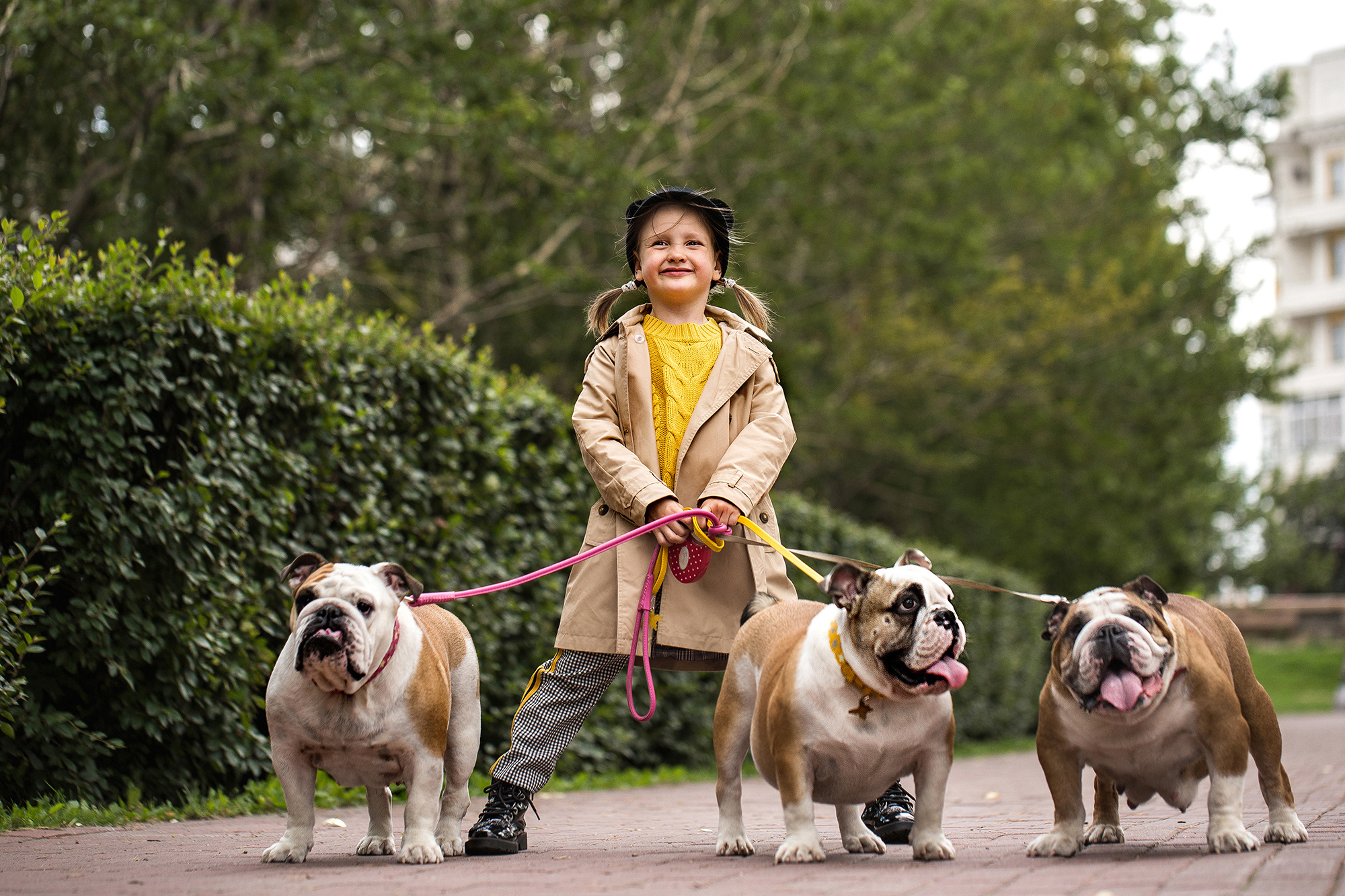 - пленэр Dogs. Photographer  Valeriy Velikov
