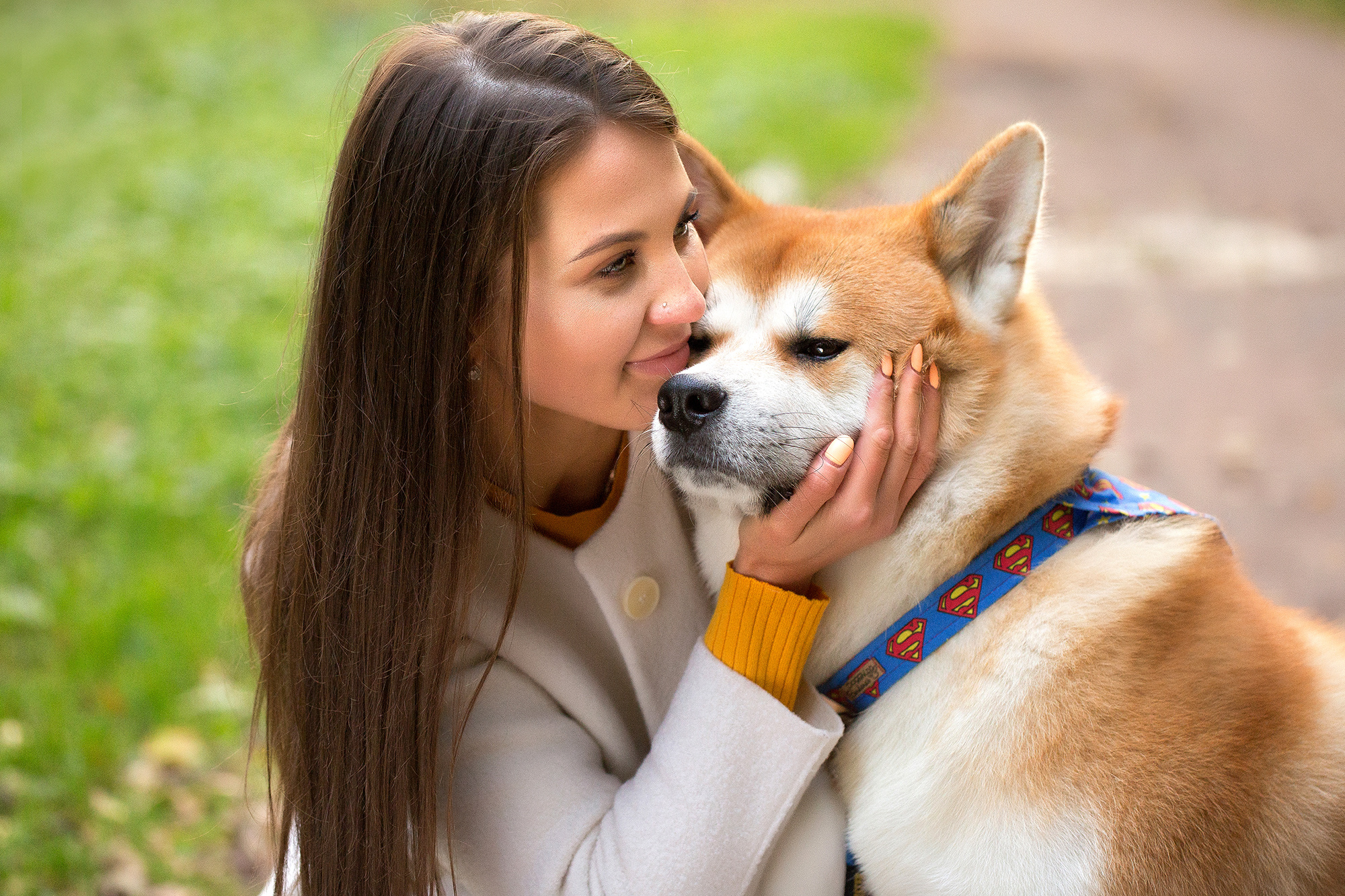 - пленэр Dogs. Photographer  Valeriy Velikov