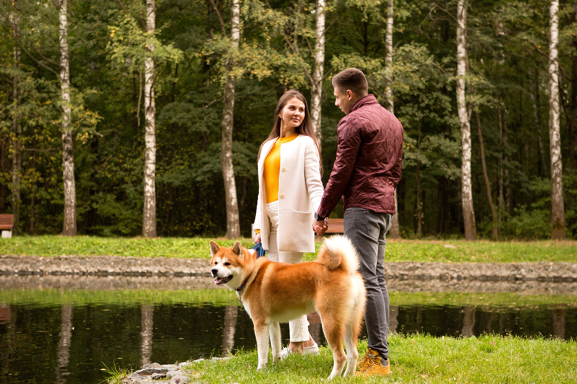 - пленэр Dogs. Photographer  Valeriy Velikov
