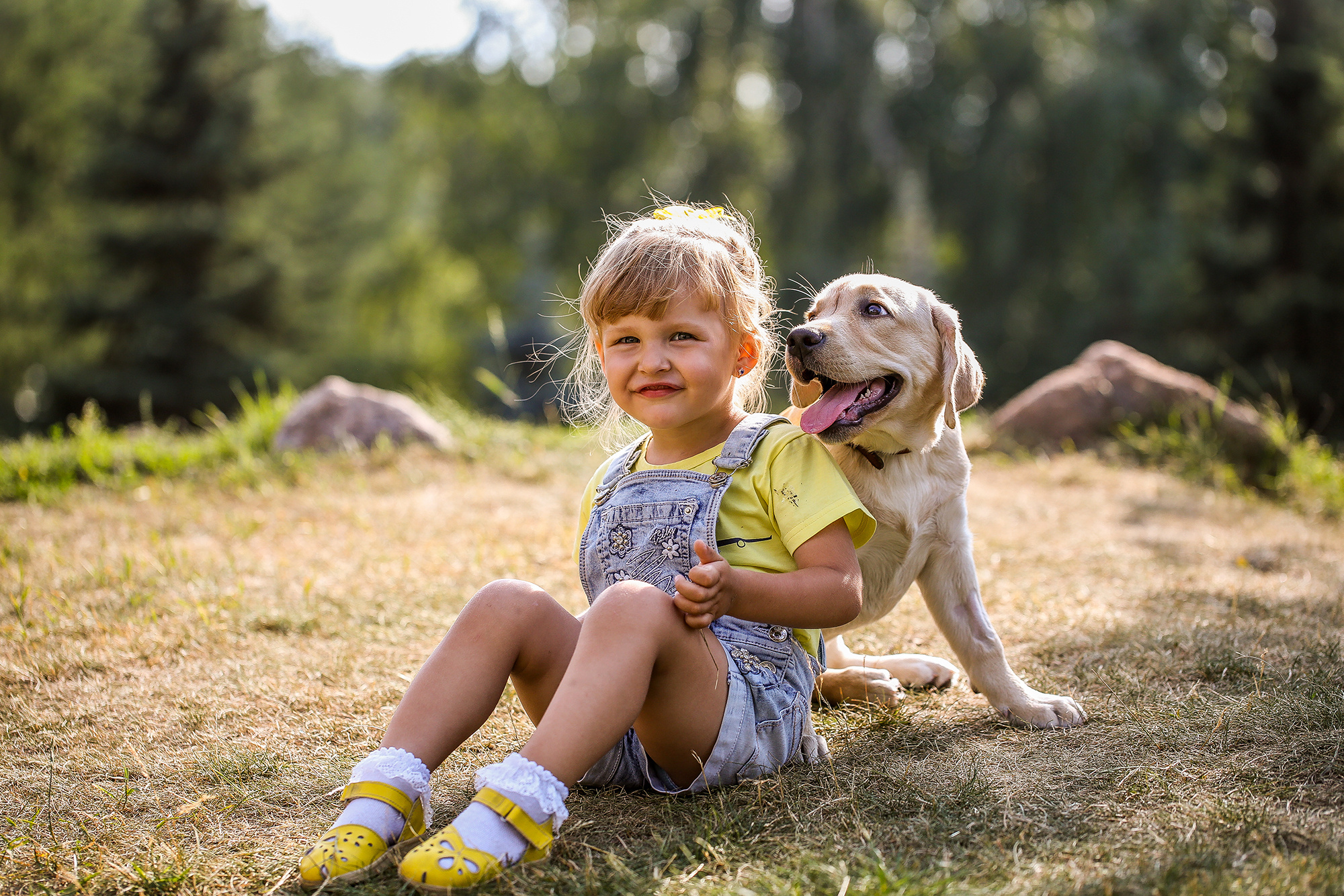 - пленэр Dogs. Photographer  Valeriy Velikov