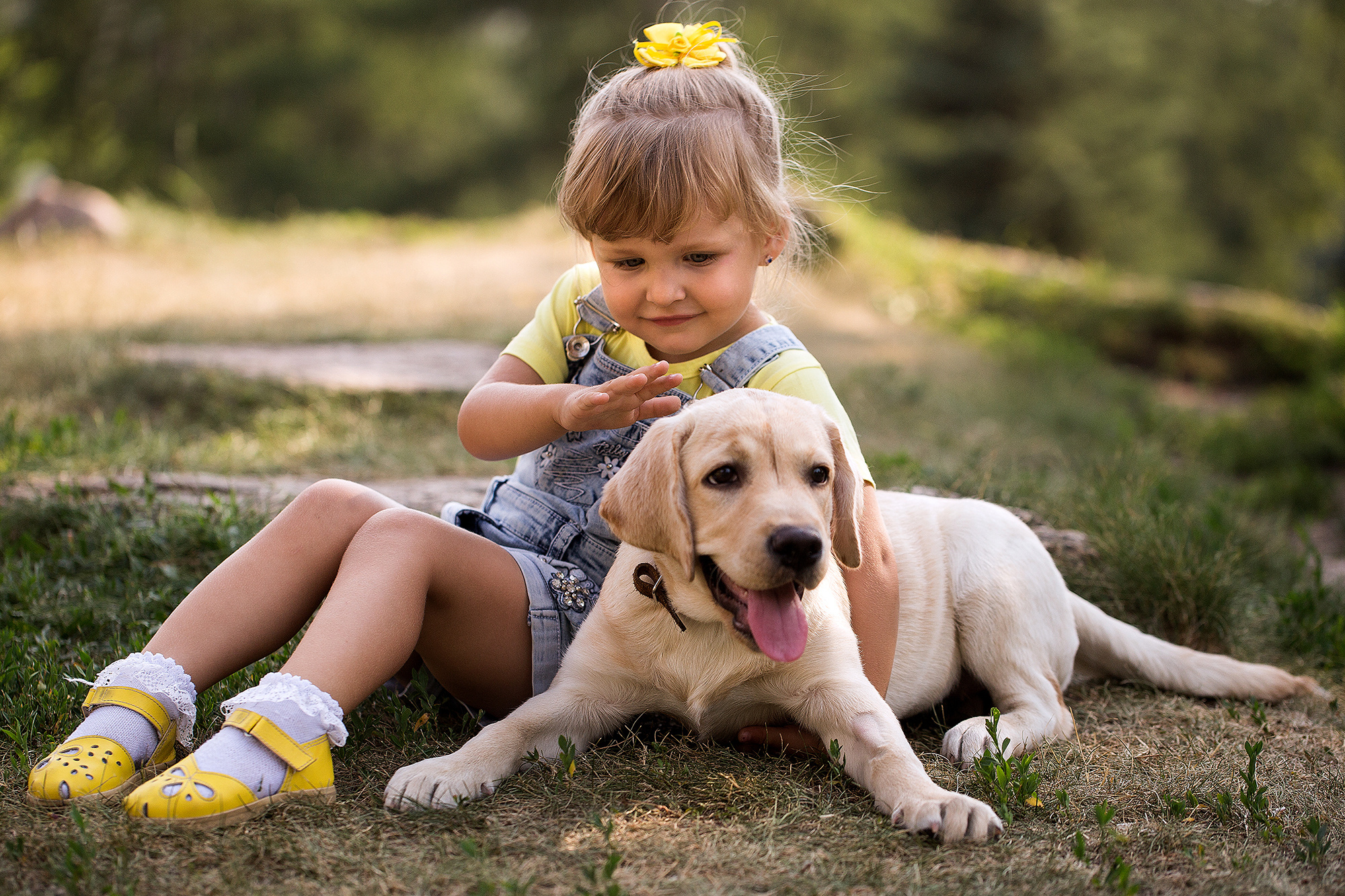 - пленэр Dogs. Photographer  Valeriy Velikov