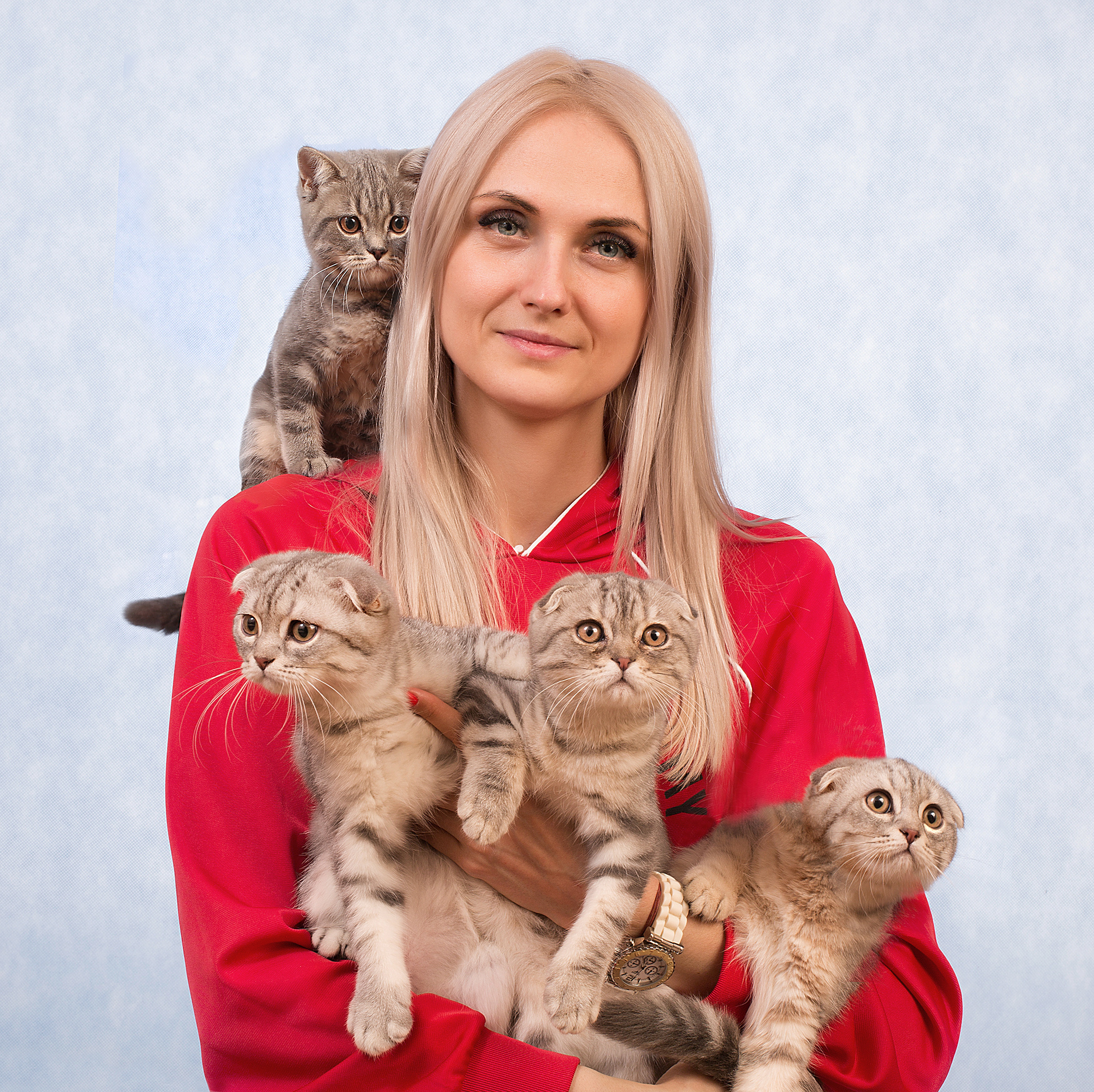 - cтудия Dogs & Cats. Photographer  Valeriy Velikov