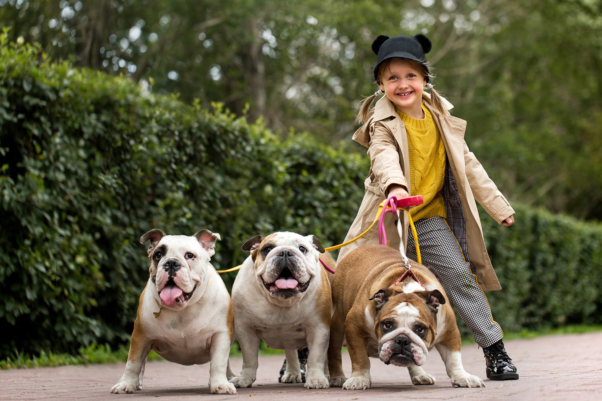 - пленэр Dogs. Photographer  Valeriy Velikov