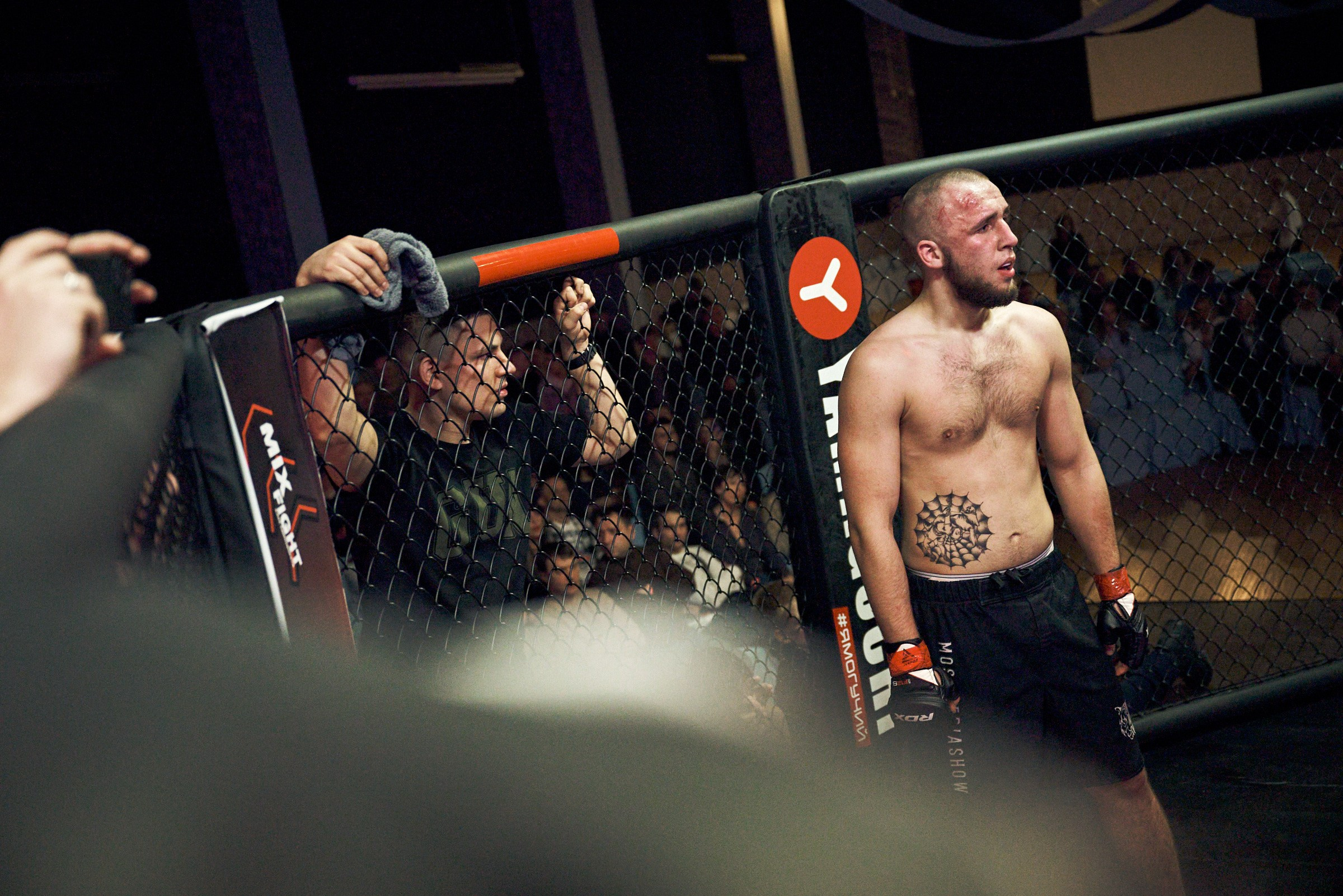 Бои. Маляревич Дмитрий свадебный фотограф