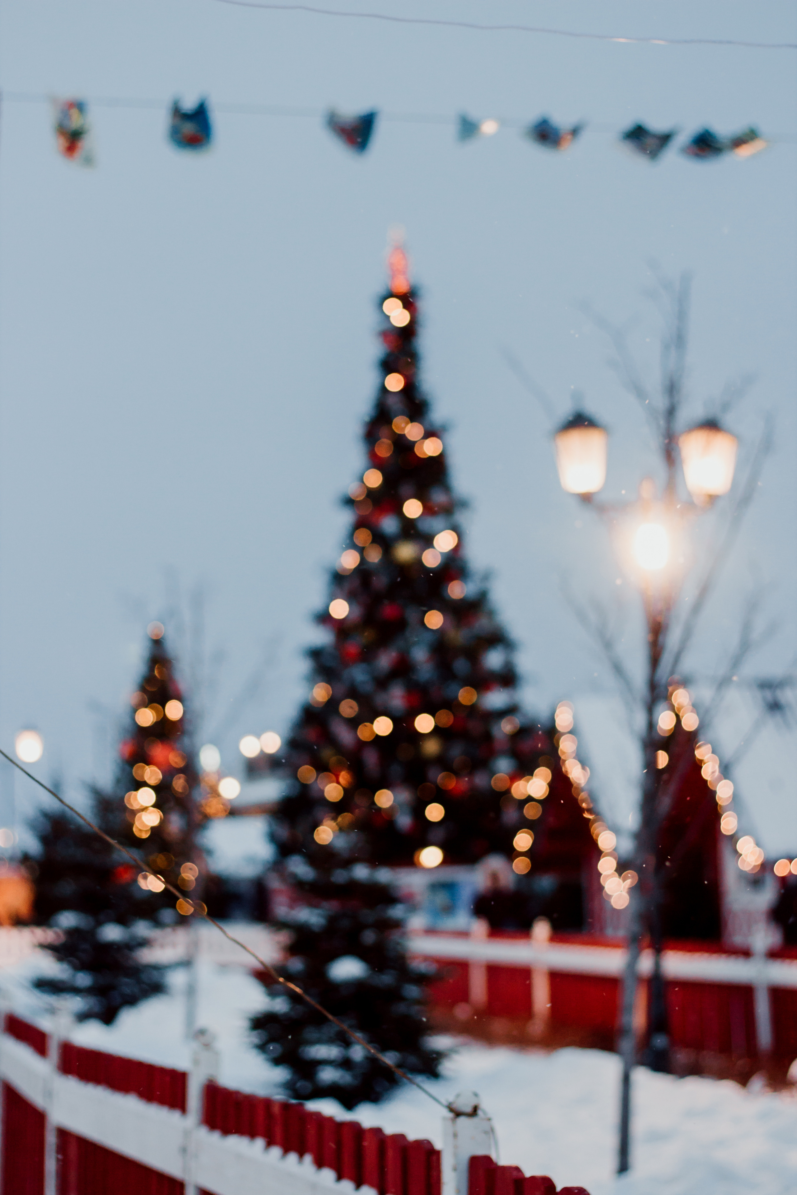 Ләйлә — Зимняя сказка. Фотограф Сарбиназ Мустафина в Казани