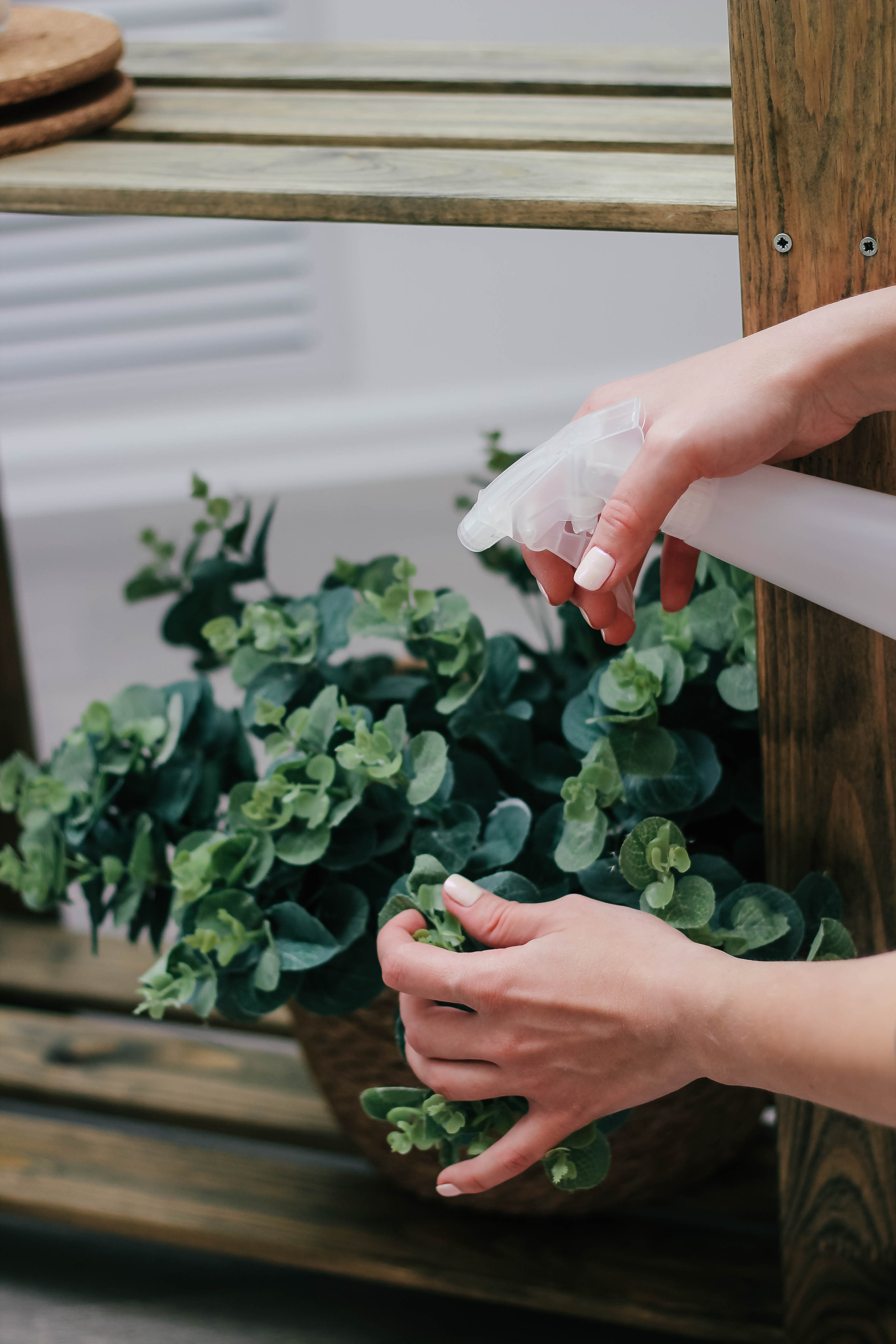 Ксения — Клининговая компания. Фотограф Сарбиназ Мустафина в Казани