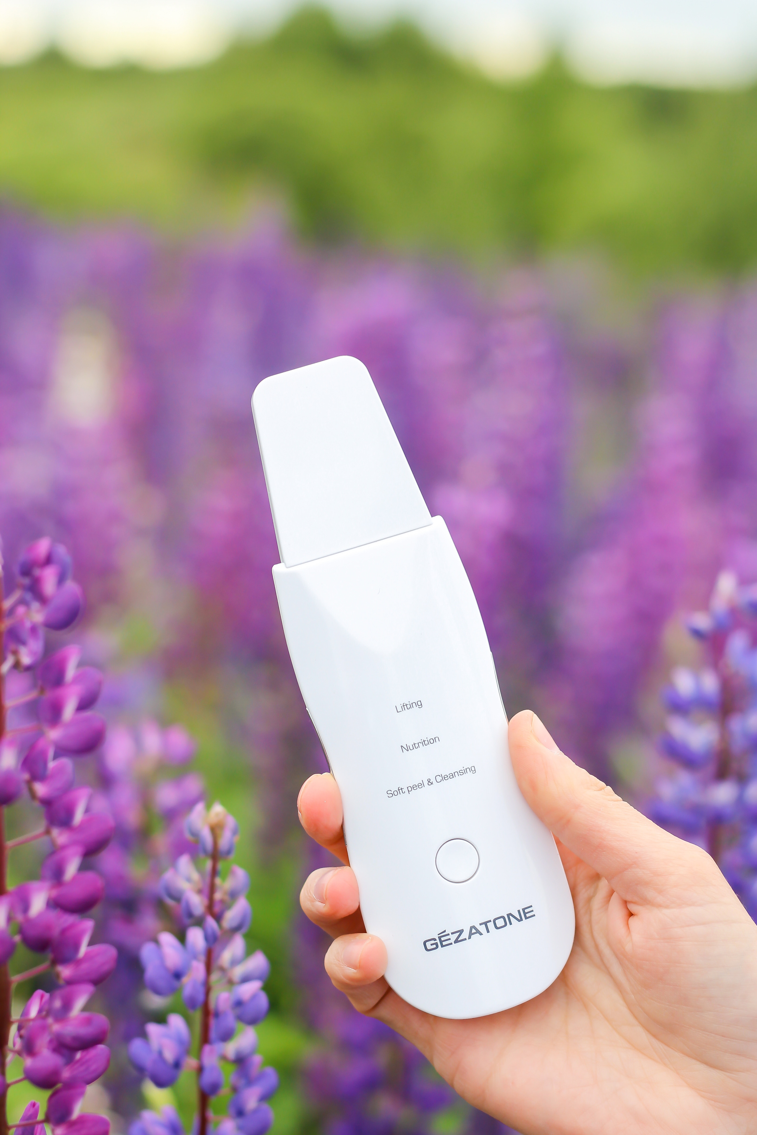 Эльвира — Люпины. Фотограф Сарбиназ Мустафина в Казани