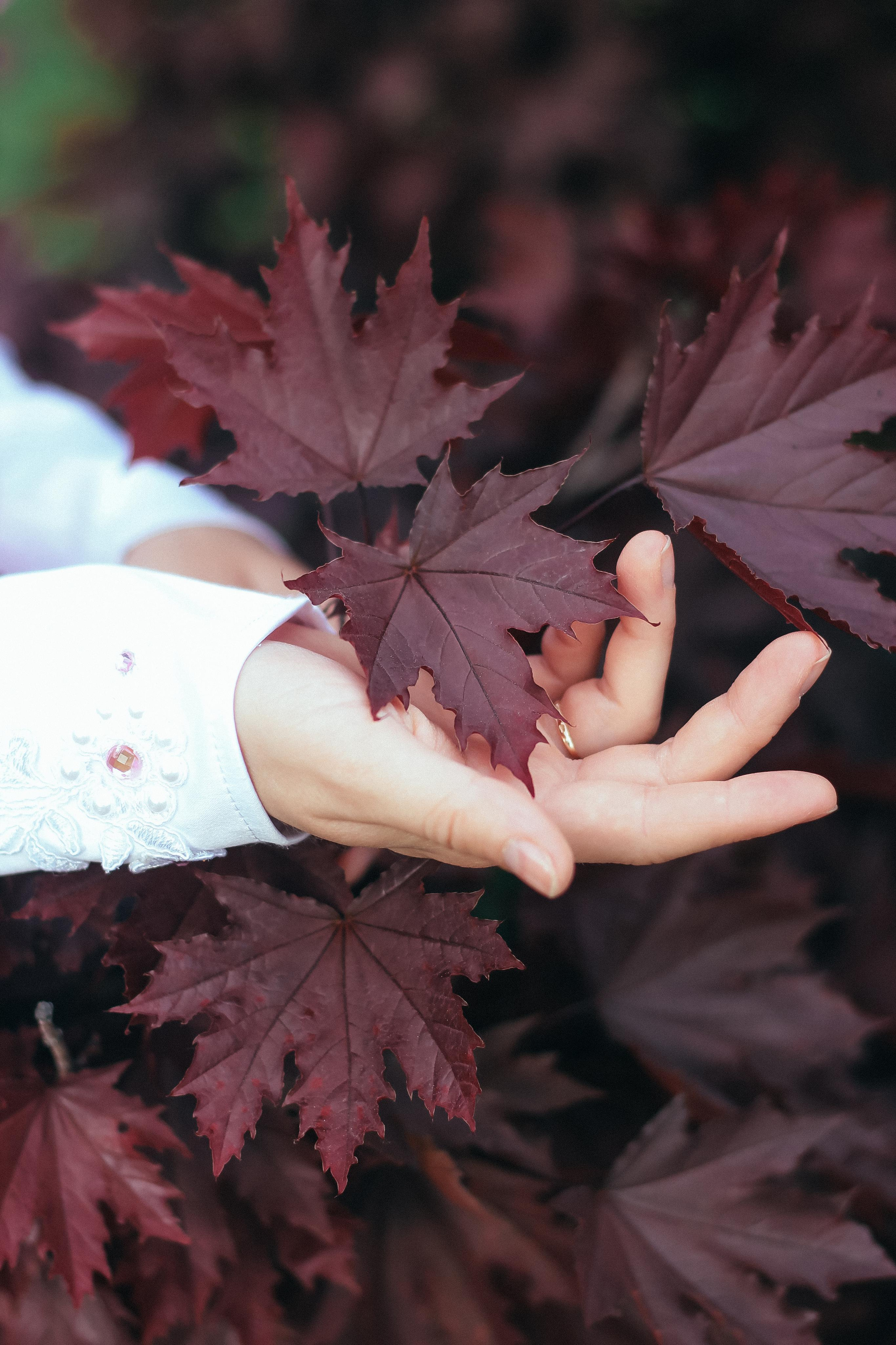 Аделя в цветении. Фотограф Сарбиназ Мустафина в Казани
