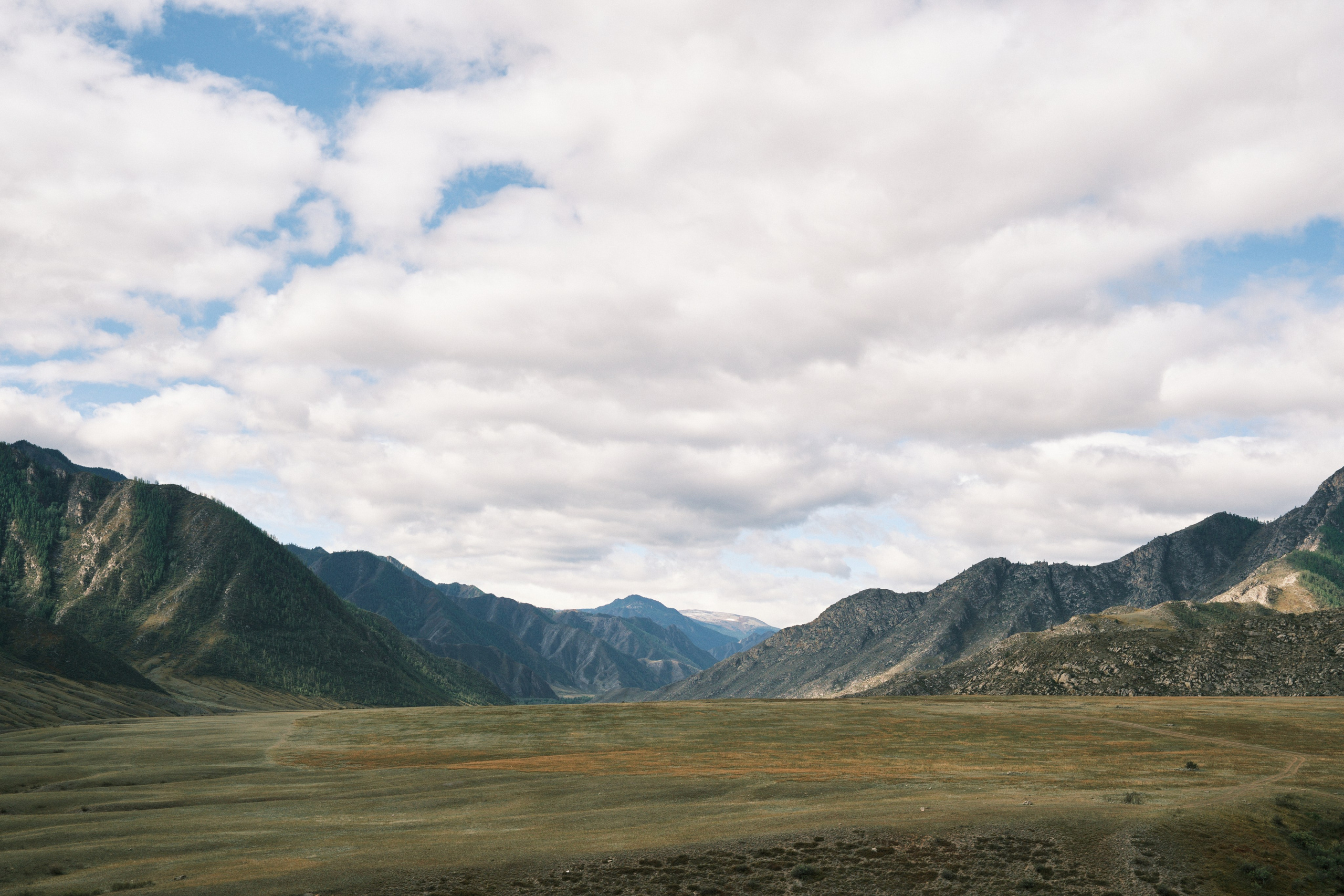 Природа. Антон Ив