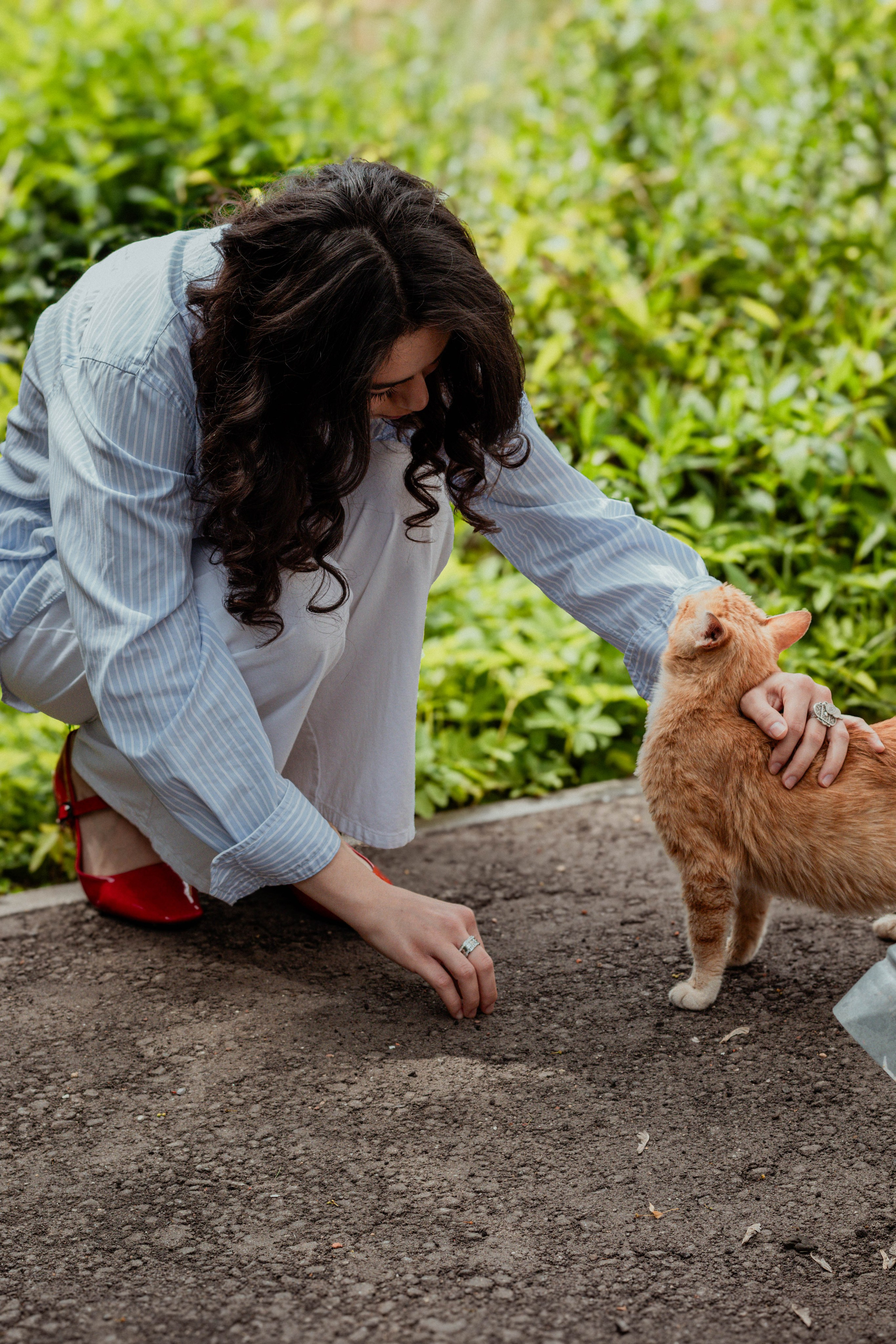 Солнце внутри