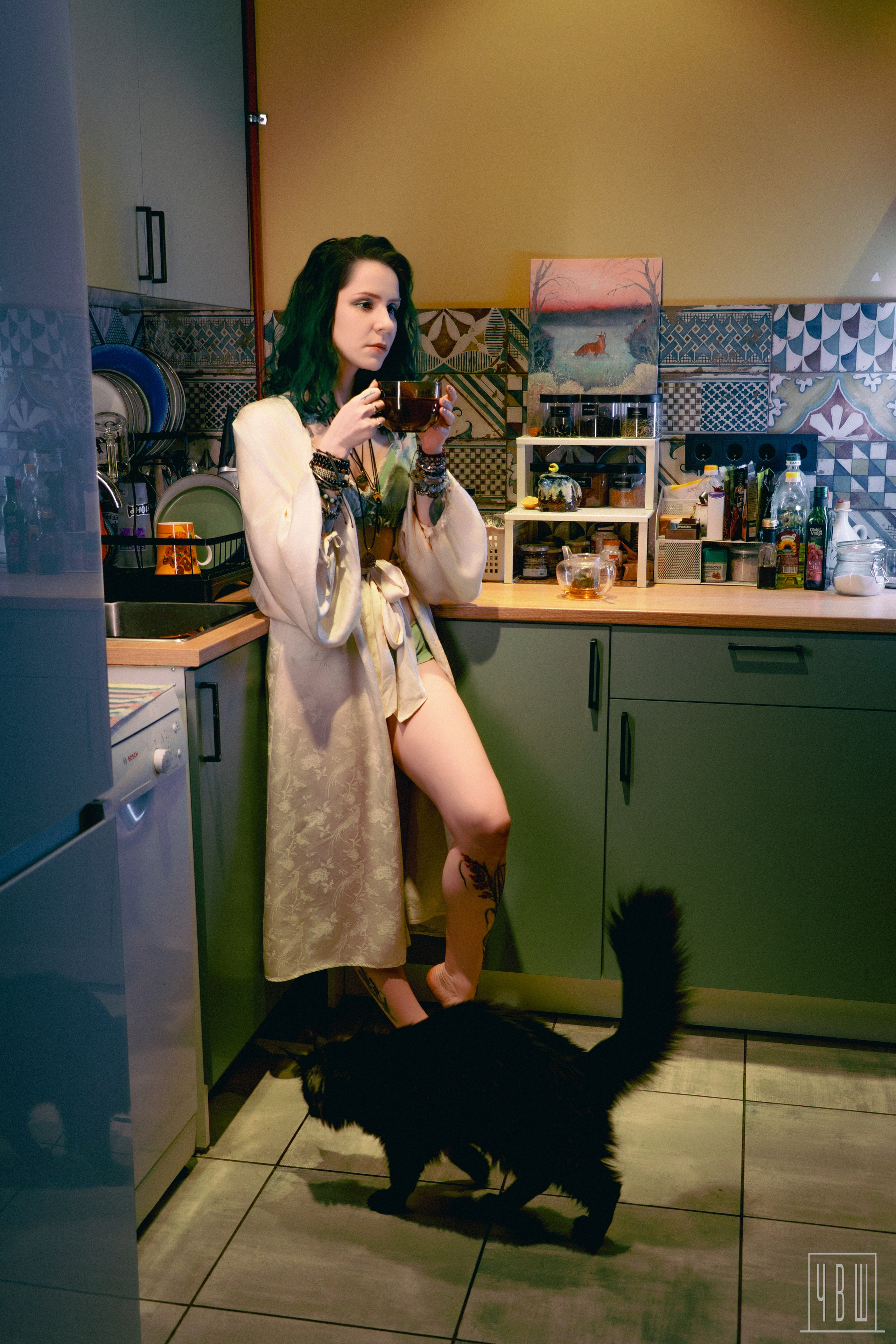 Ася, 20.12.2025, Конспиративная квартира. Человек в Шляпе