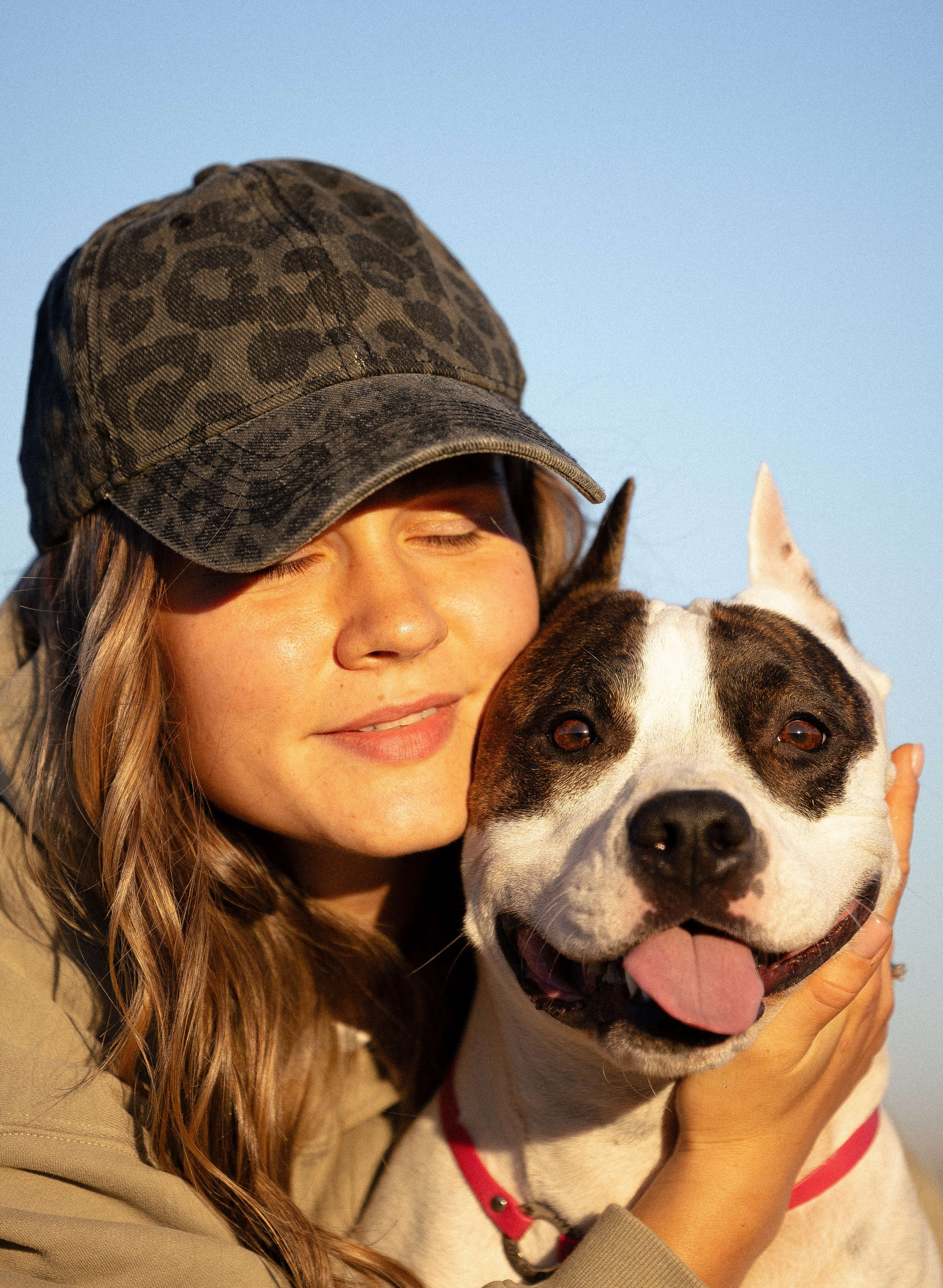 Женя, Афра и Молли. Фотограф и видеограф анималист Аганина Дарья