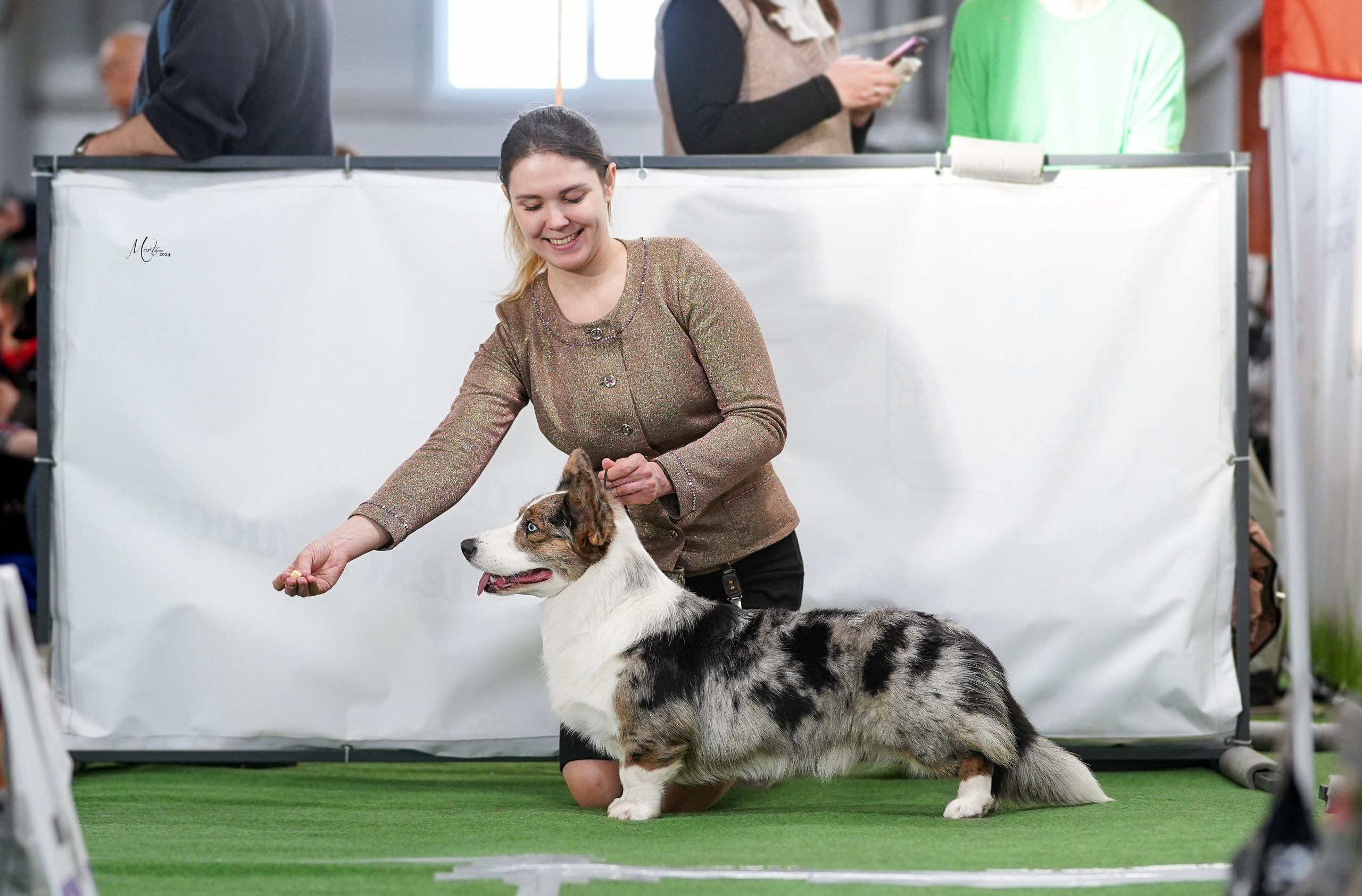 Выставки 2024. Фотограф-анималист в Санкт-Петербурге Яна Мартынова