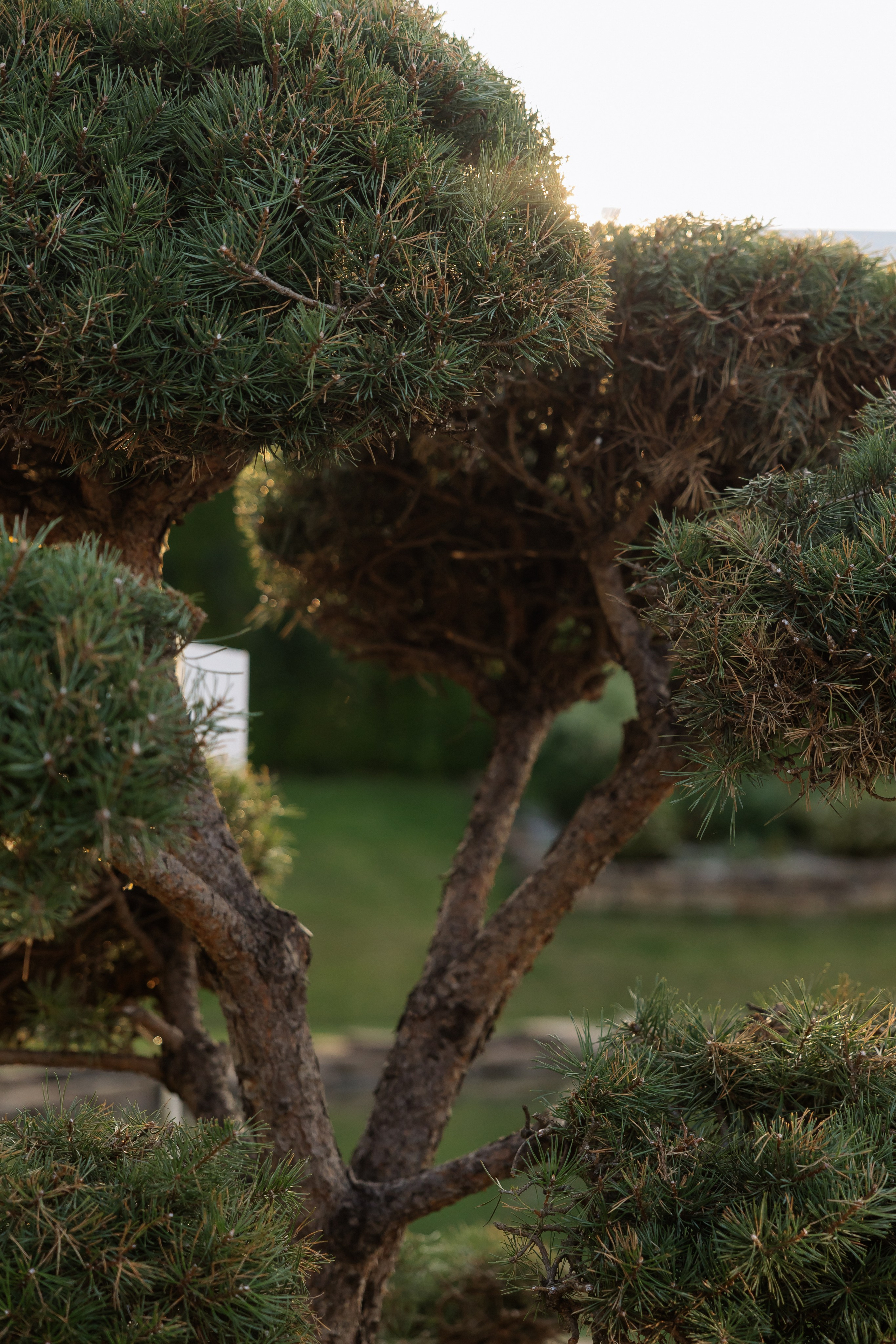 Владислав & Дарья. RETOUCH-HOUSE