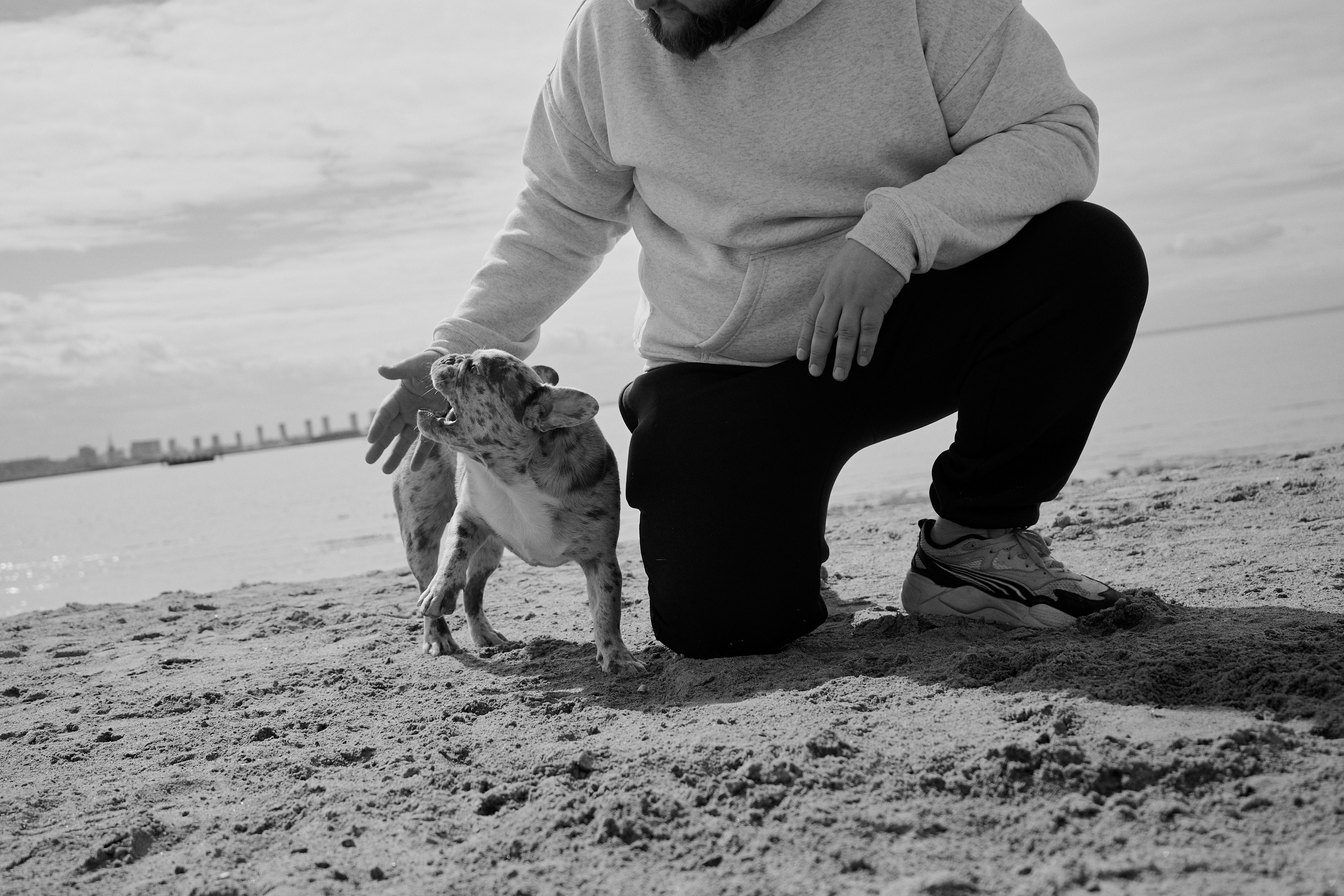 Фотосессия с собакой на заливе. Фотограф / Санкт-Петербург / Галина Никонова