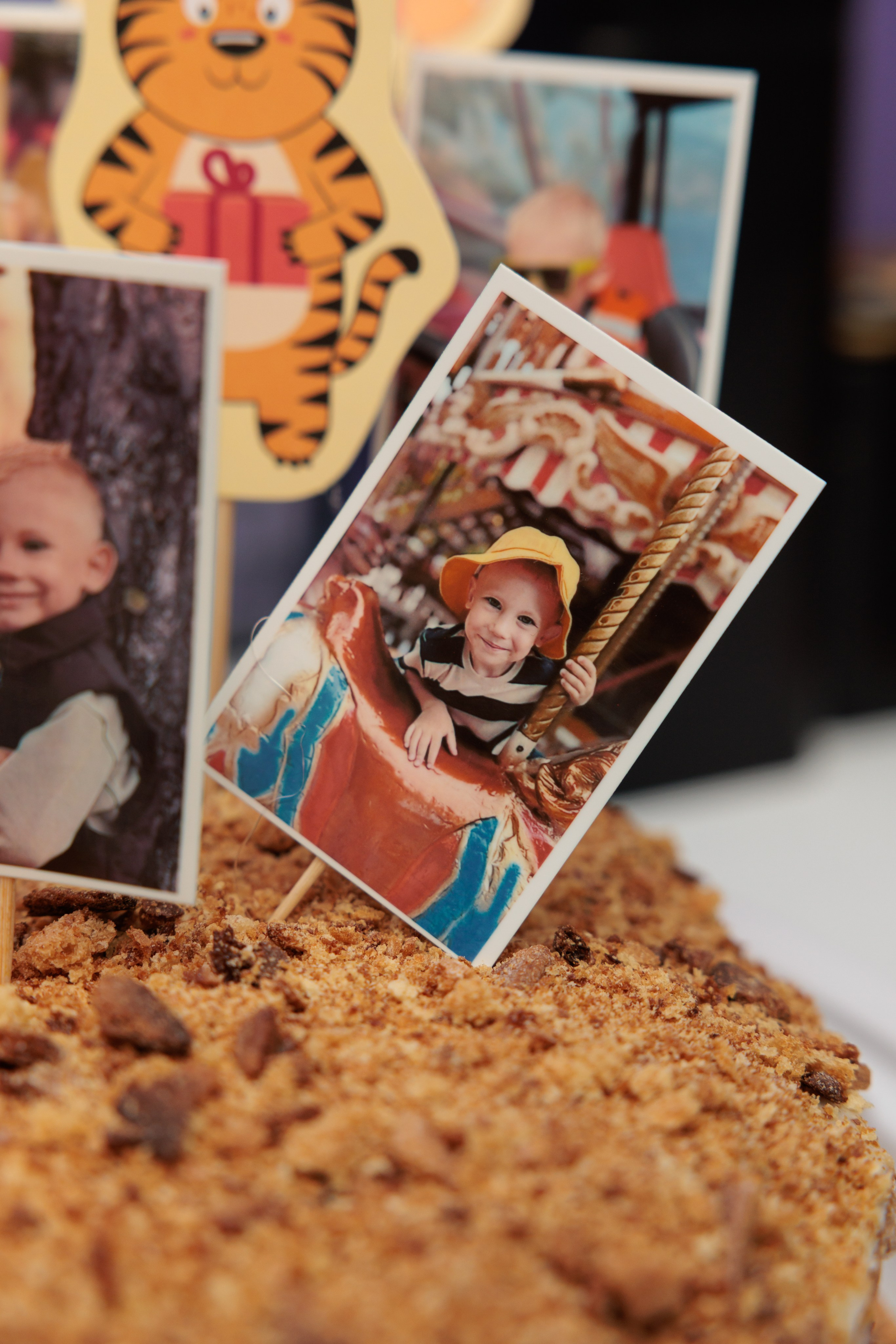 Семёну 5 лет Игротека Дино. Фотограф в Красноярске Евдокимова Анастасия