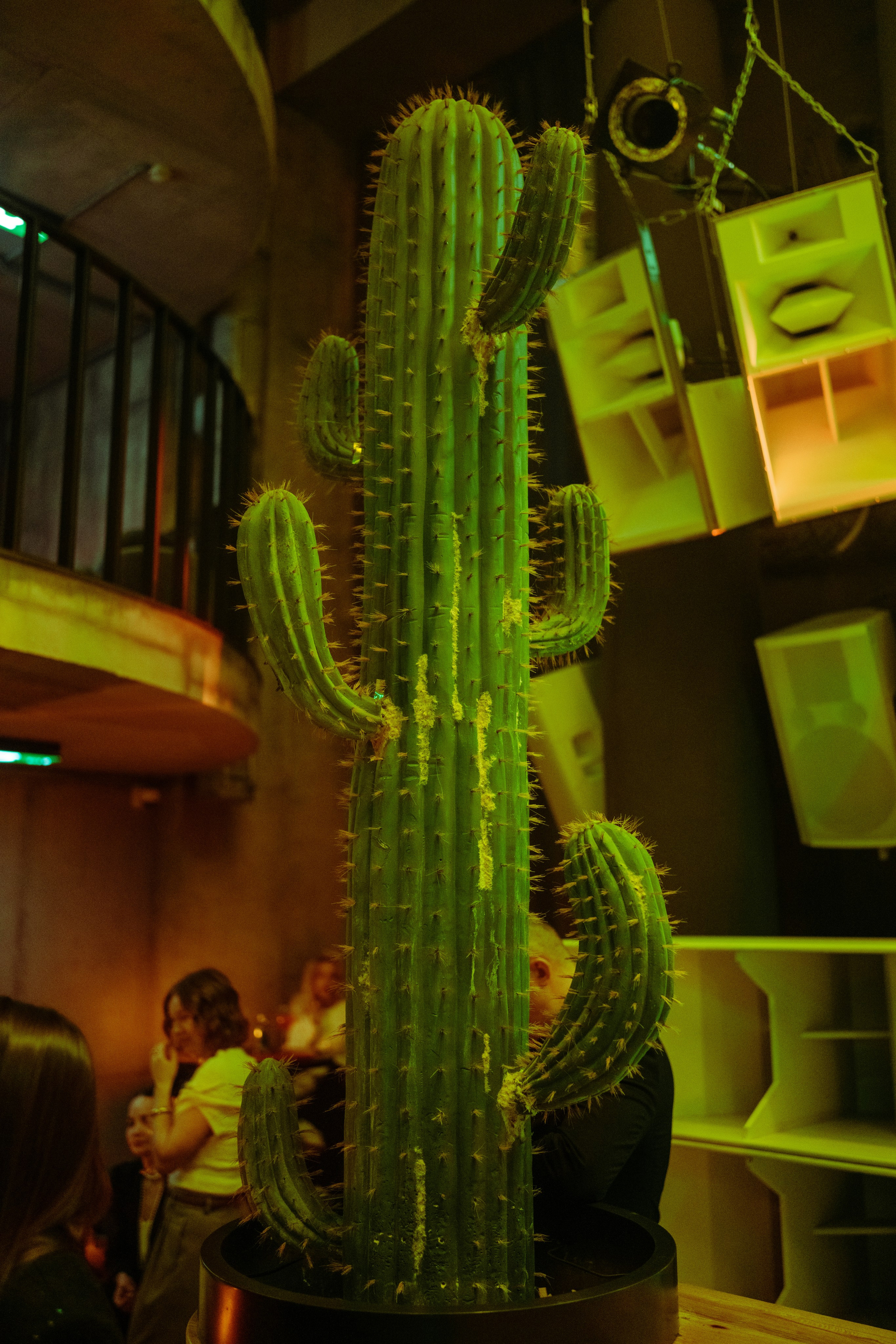 Фотограф на вечеринку проекта ОСНОВАТЕЛИ. Репортажный фотограф Москва Сергей Дружинин