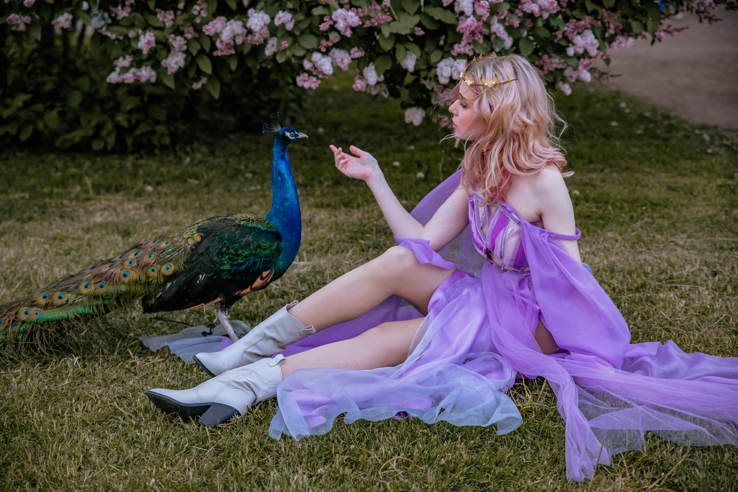 Павлин. Elena Sova — семейный и женский фотограф в Санкт-Петербурге