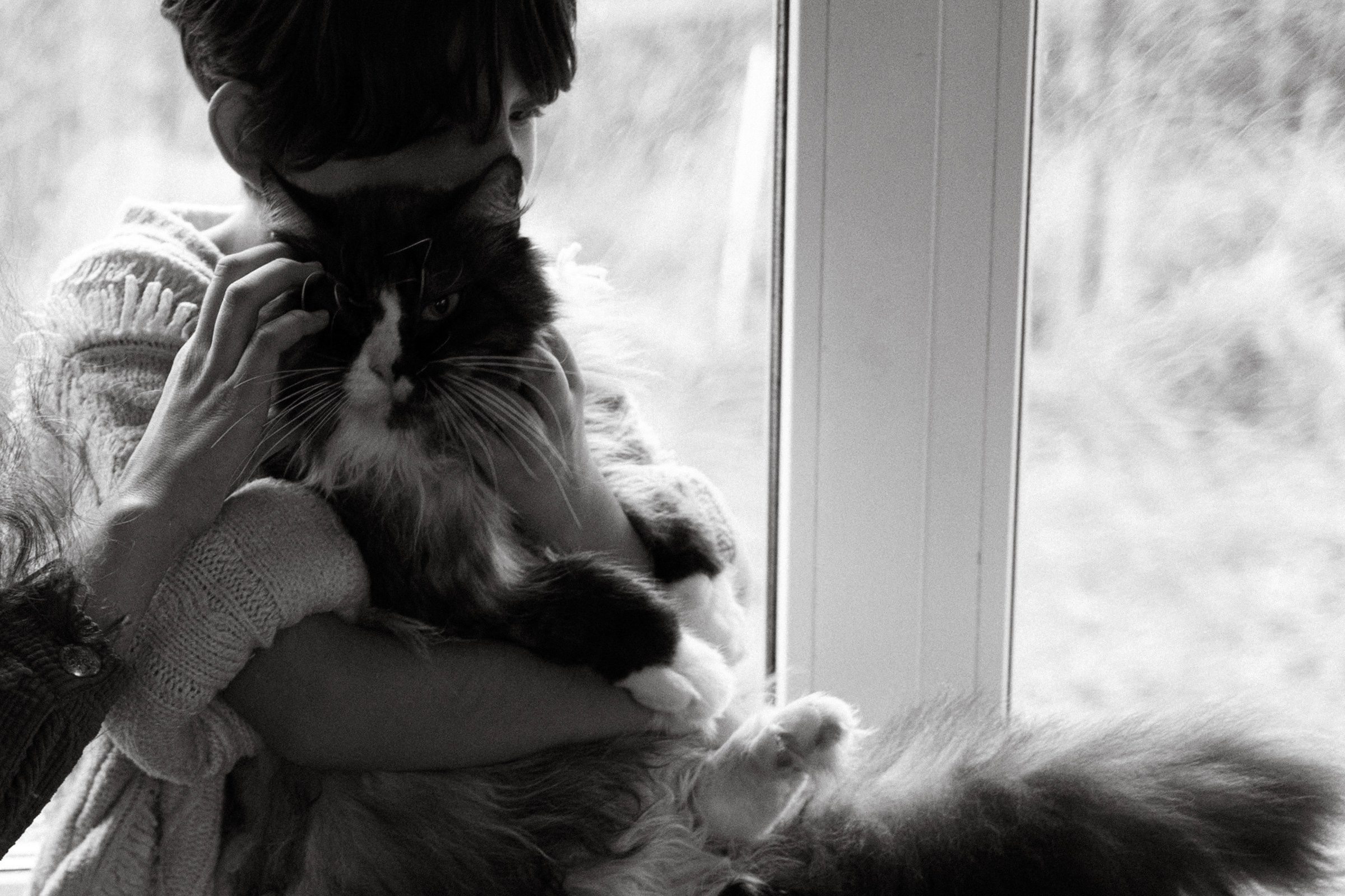 Франкенвини. Фотограф Daria Wilner