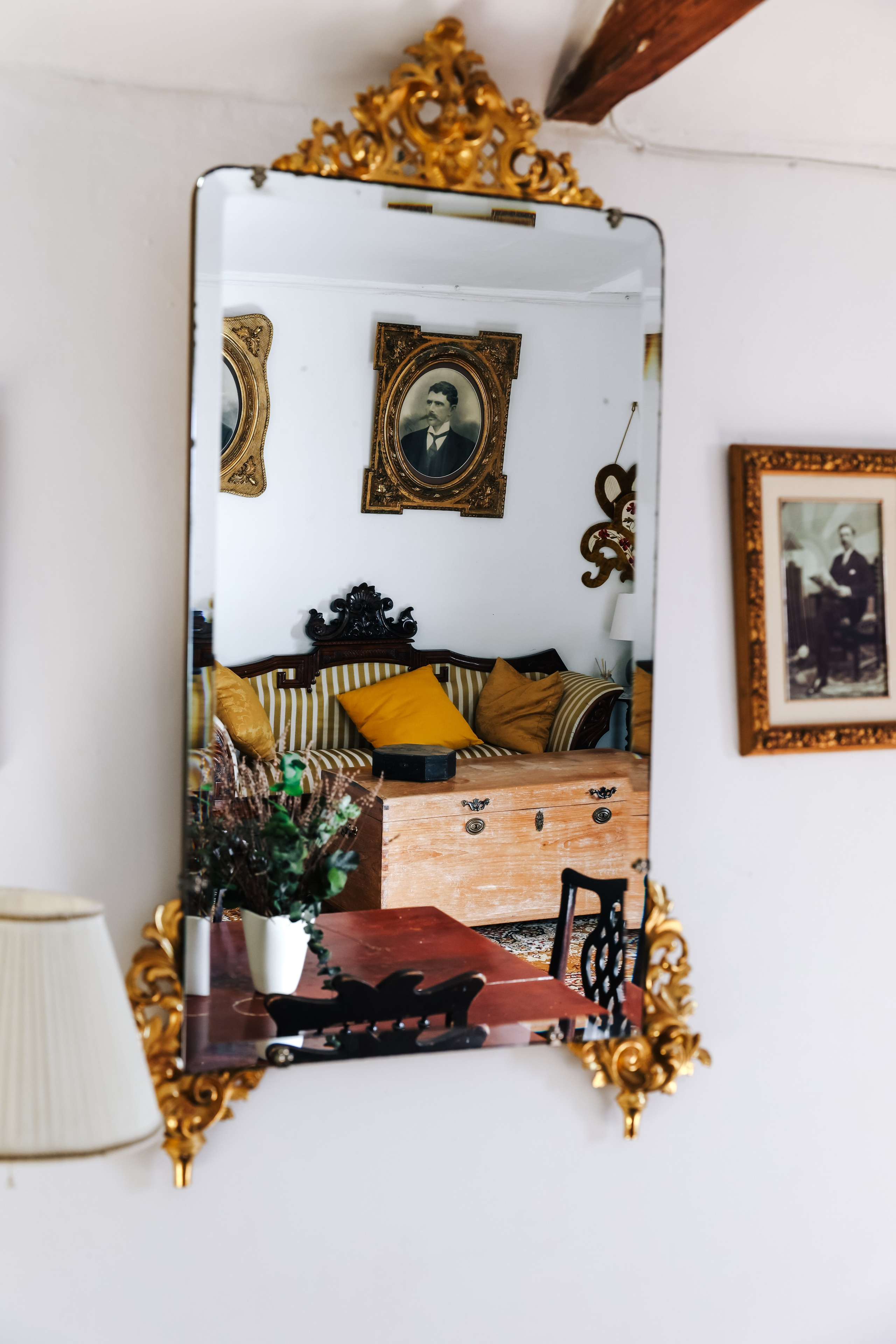 Emblemática Los Helechos. Фотограф Виктория Волкова. Москва