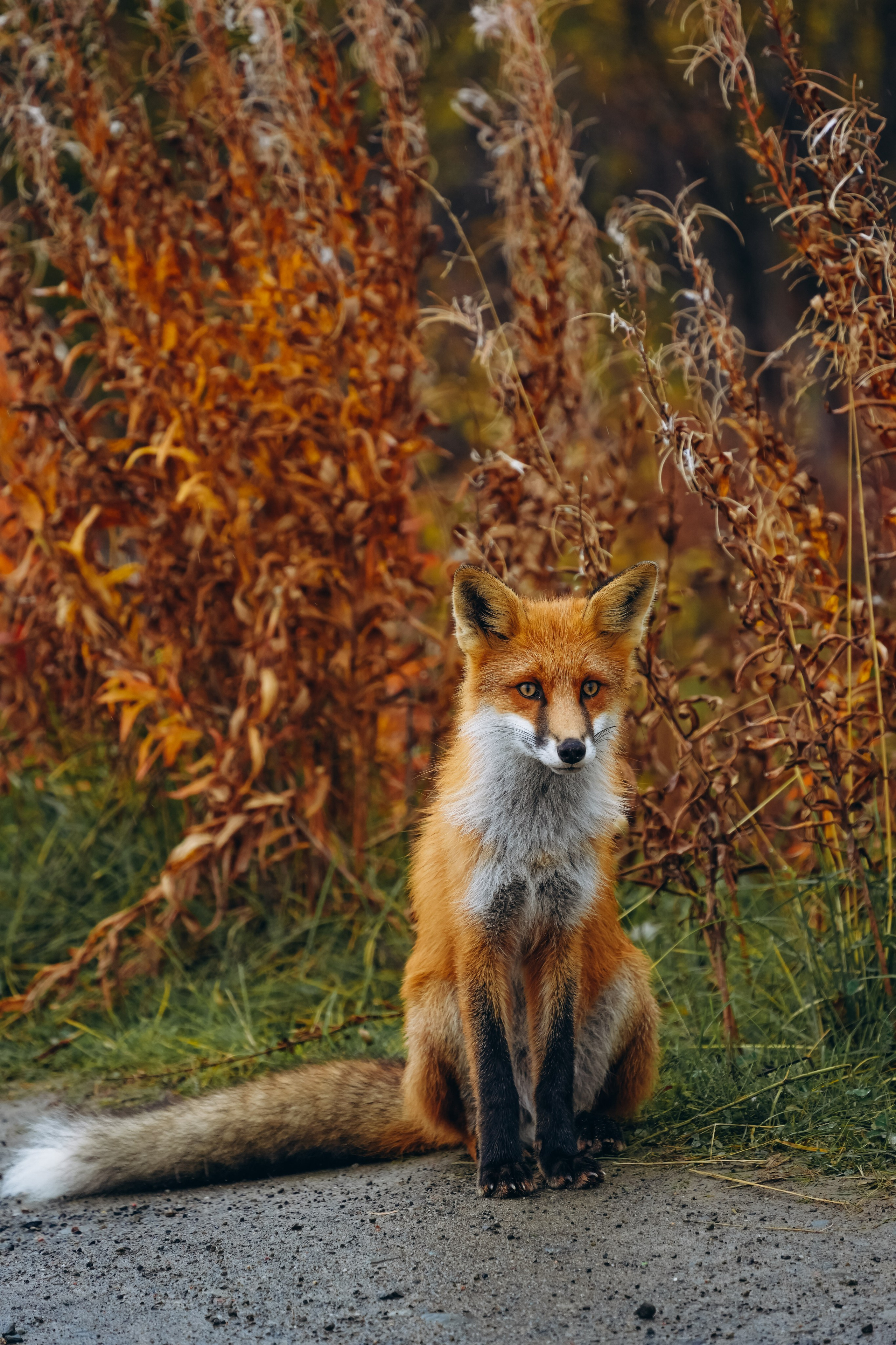 СЕВЕР. Event фотограф Степанова Александра