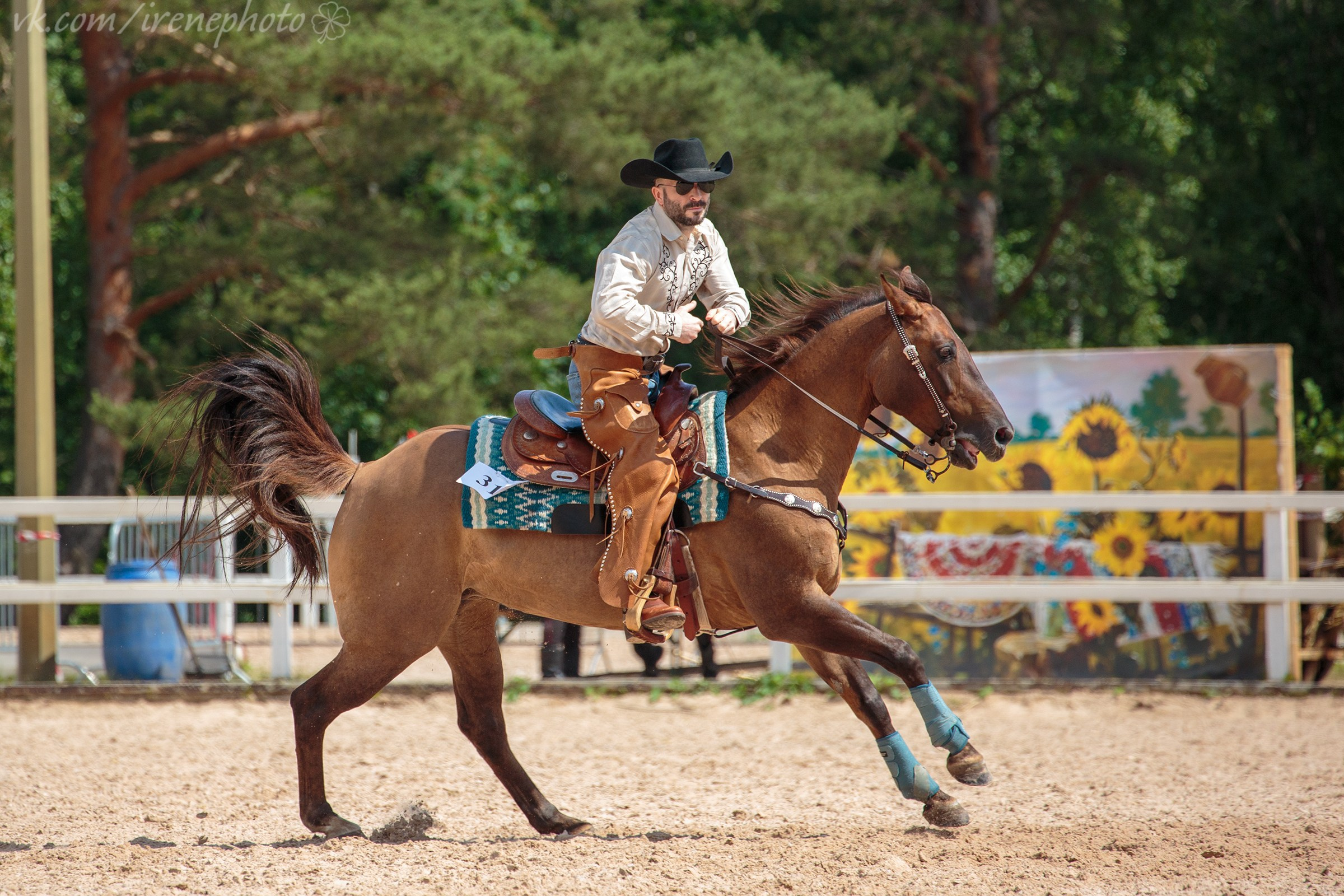 Иппосфера 2024. Irenephoto.ru