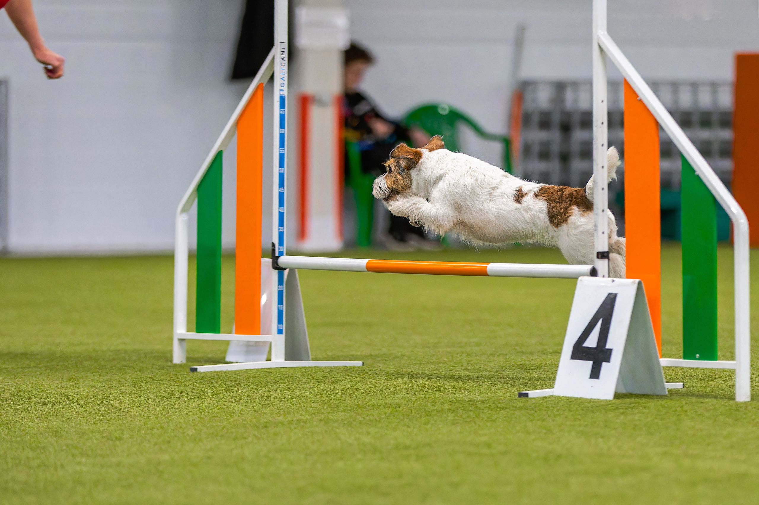 Baltic Cup 2024. Irenephoto.ru