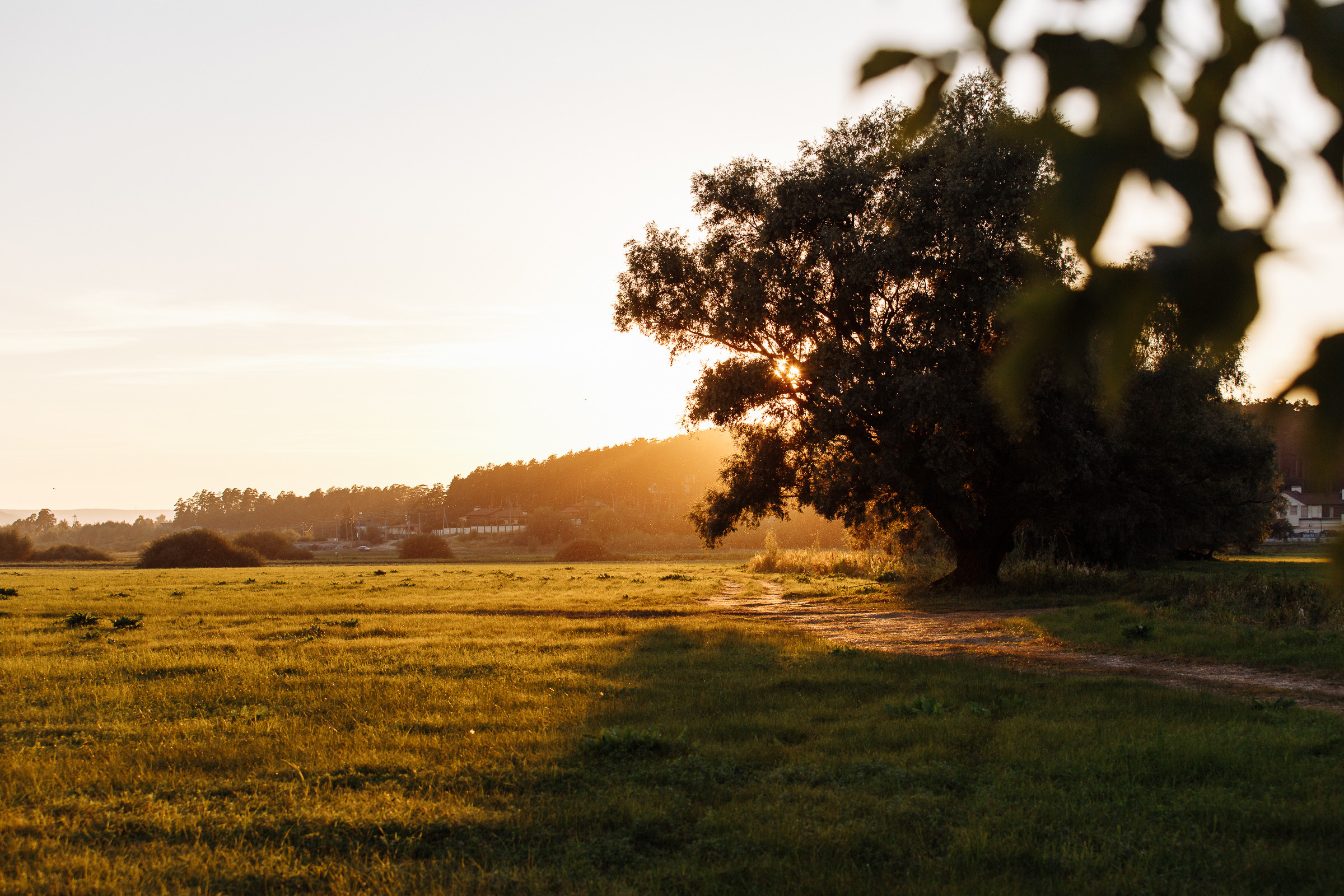 Творческая съемка 4. Свадебный фотограф в Самаре и Тольятти Полина Никитина